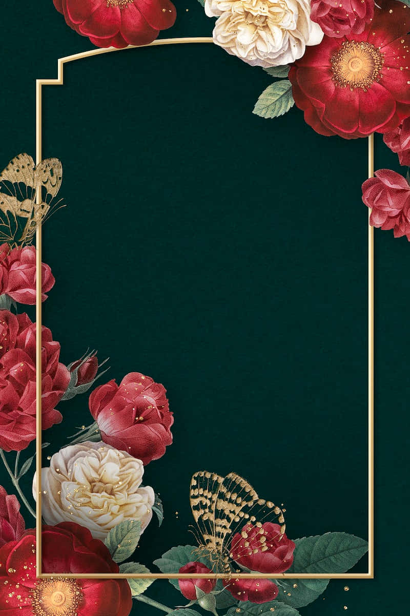 red roses, dark green, cream roses, SD Phone Wallpaper