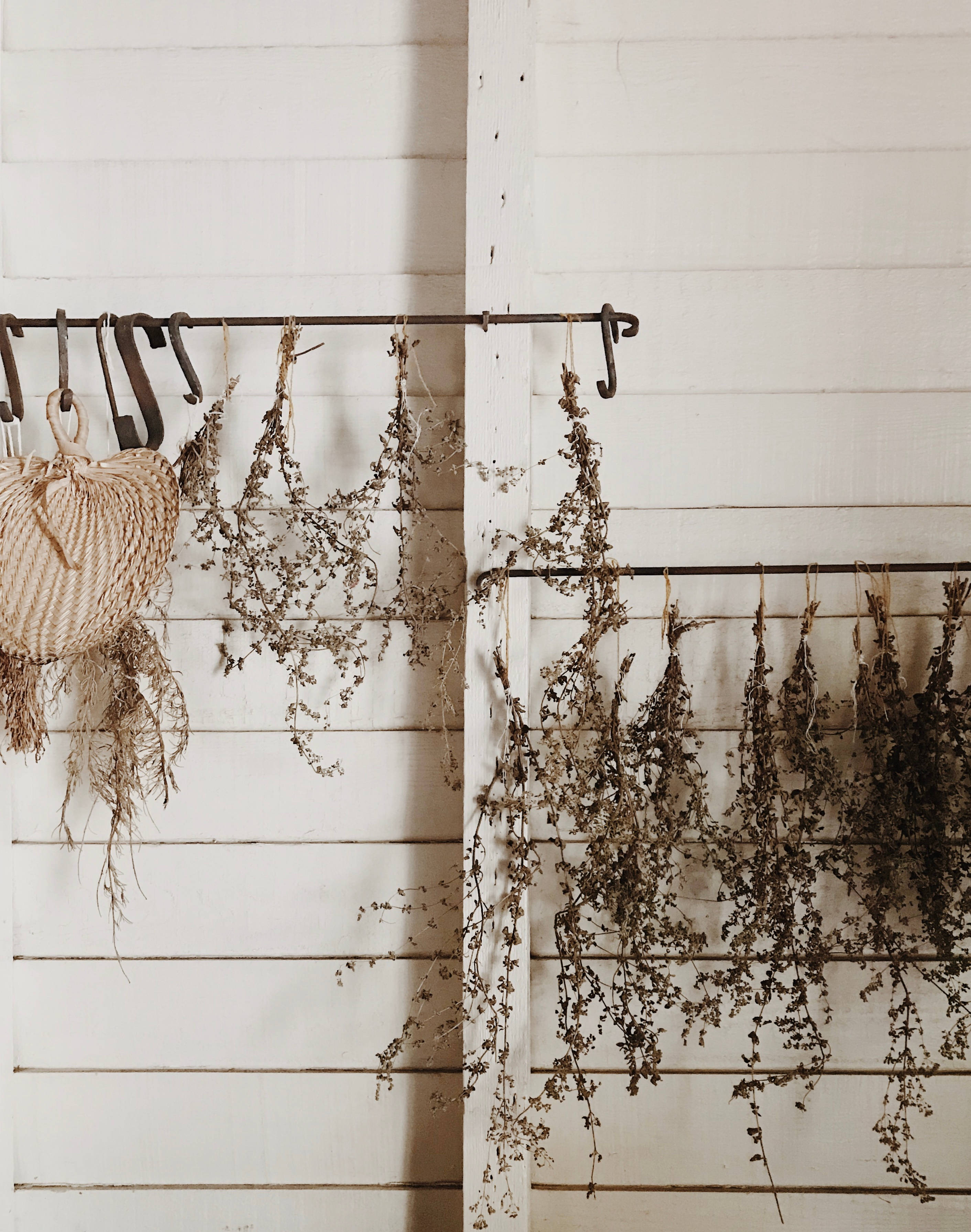 dried flowers, rustic metal racks, white wooden wall, 2K Phone Wallpaper