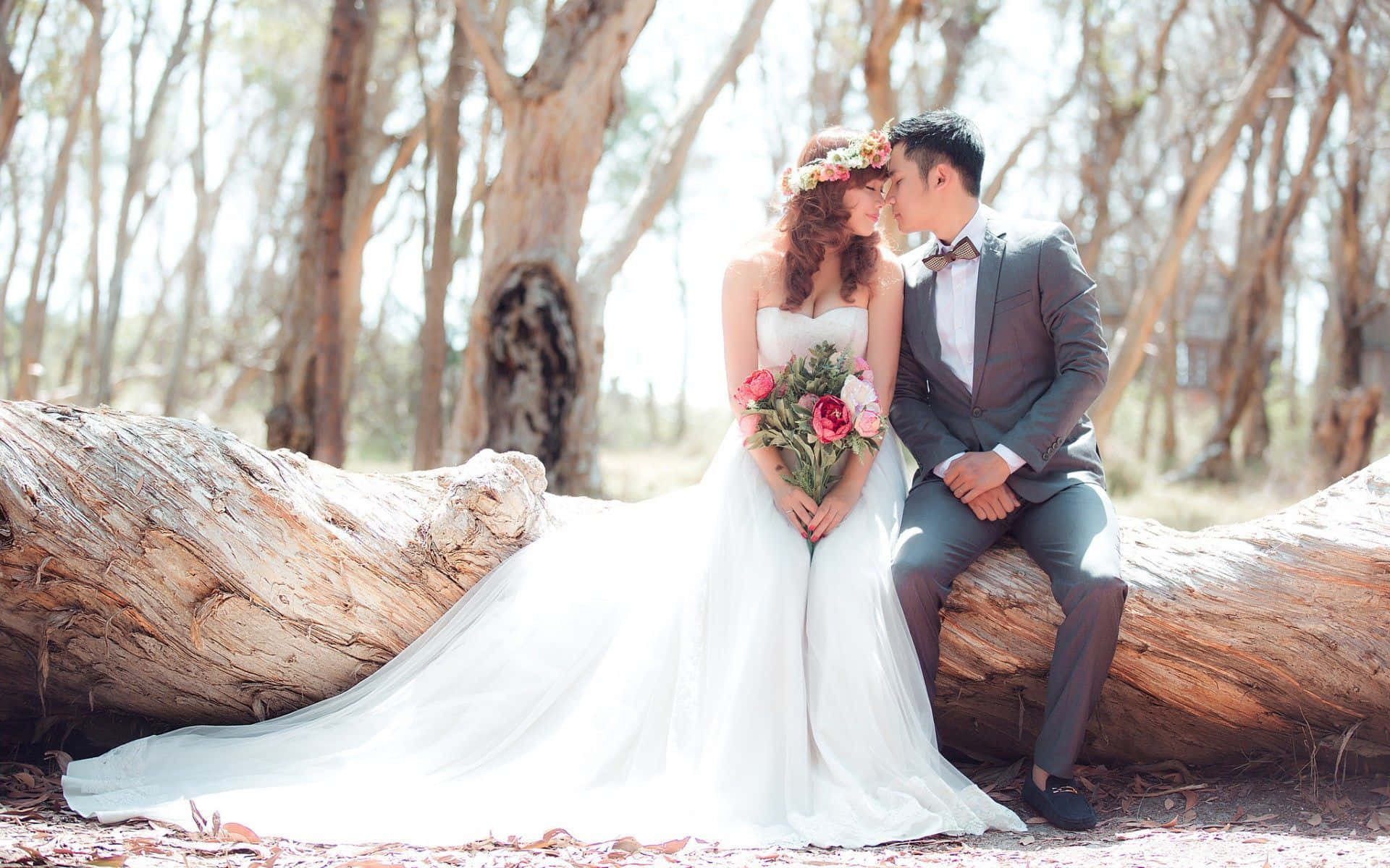 wedding couple, tree, wood, Full HD Desktop Wallpaper