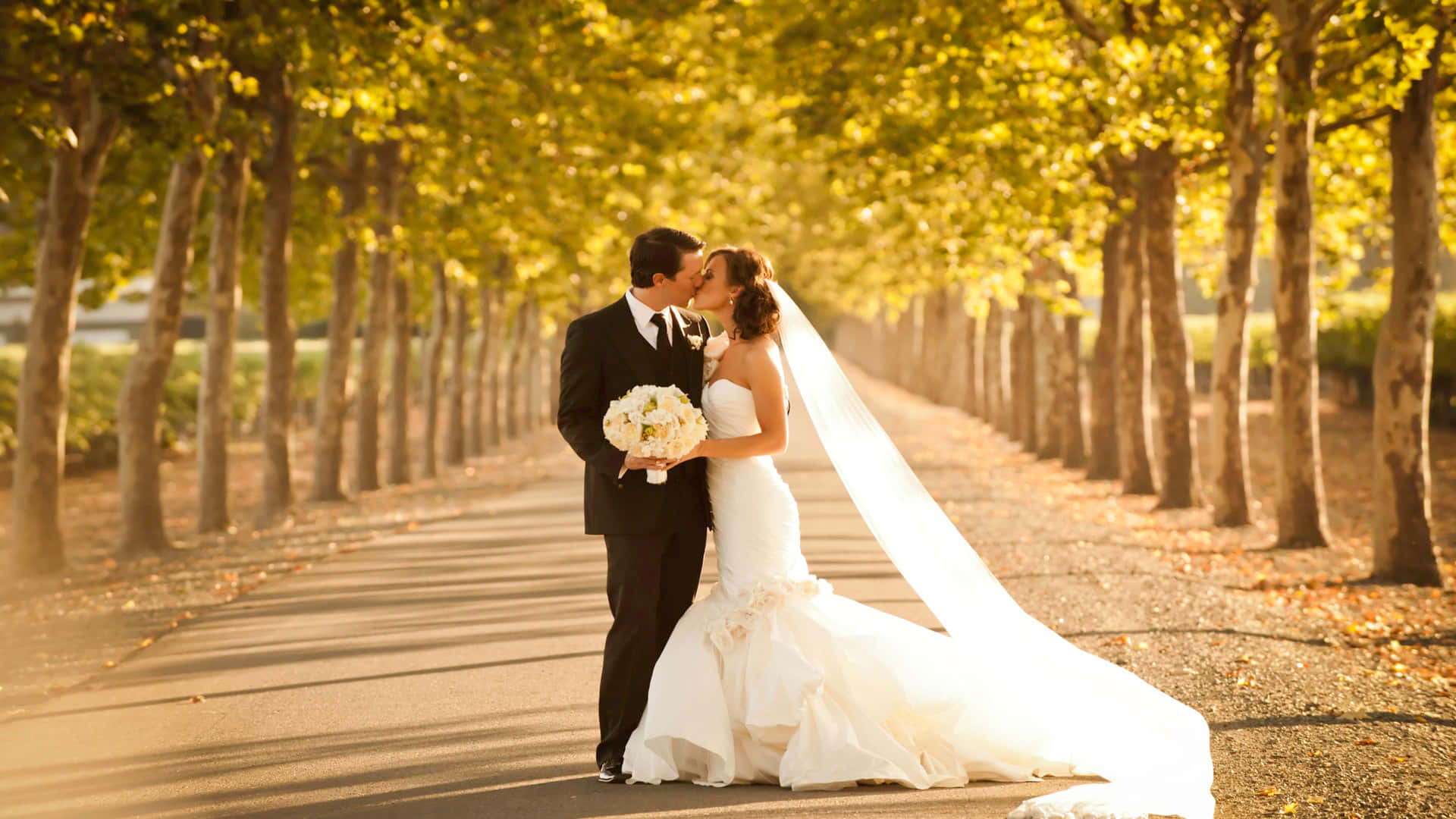 Wedding Couple, golden autumn trees, sunlit path, Full HD Desktop Wallpaper