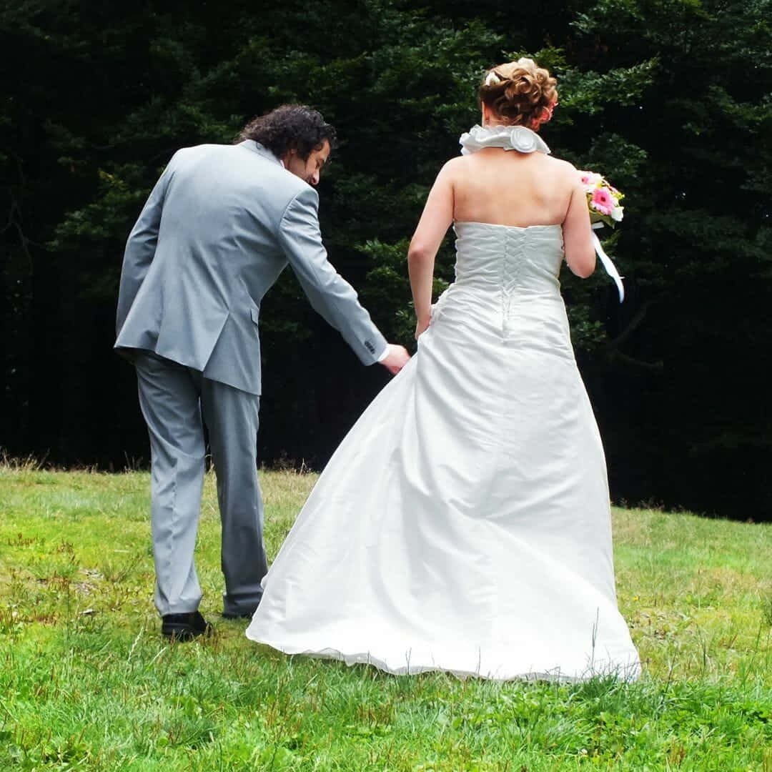gray suit, white wedding gown, grassy field, SD Desktop Wallpaper
