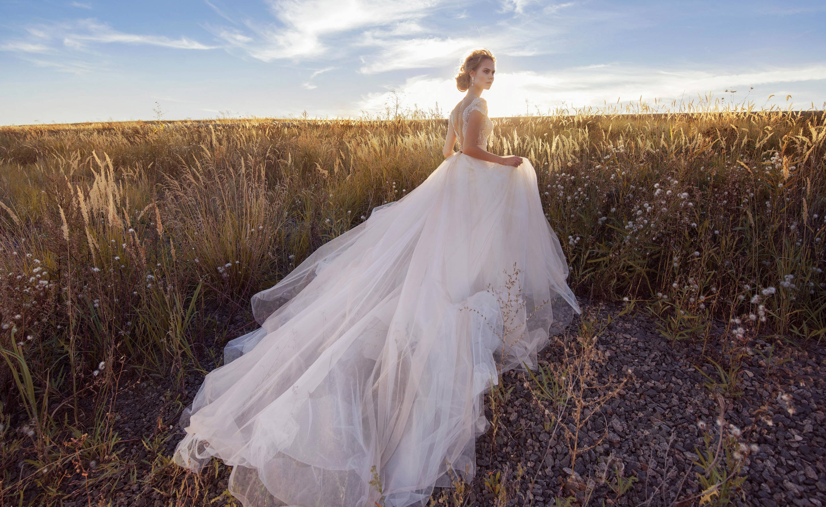 wedding dress, golden field, sunset, 2K Desktop Wallpaper