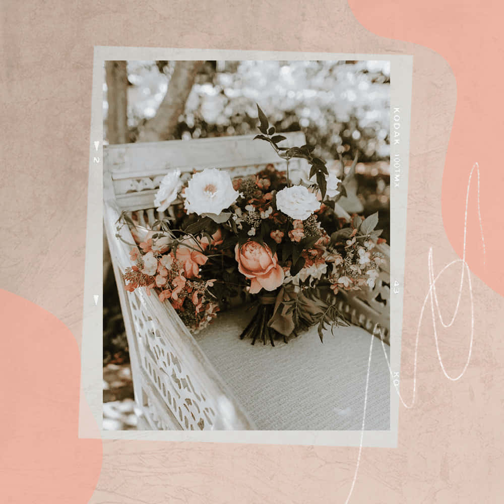 pastel pinks, whites, white ornate bench, SD Desktop Wallpaper