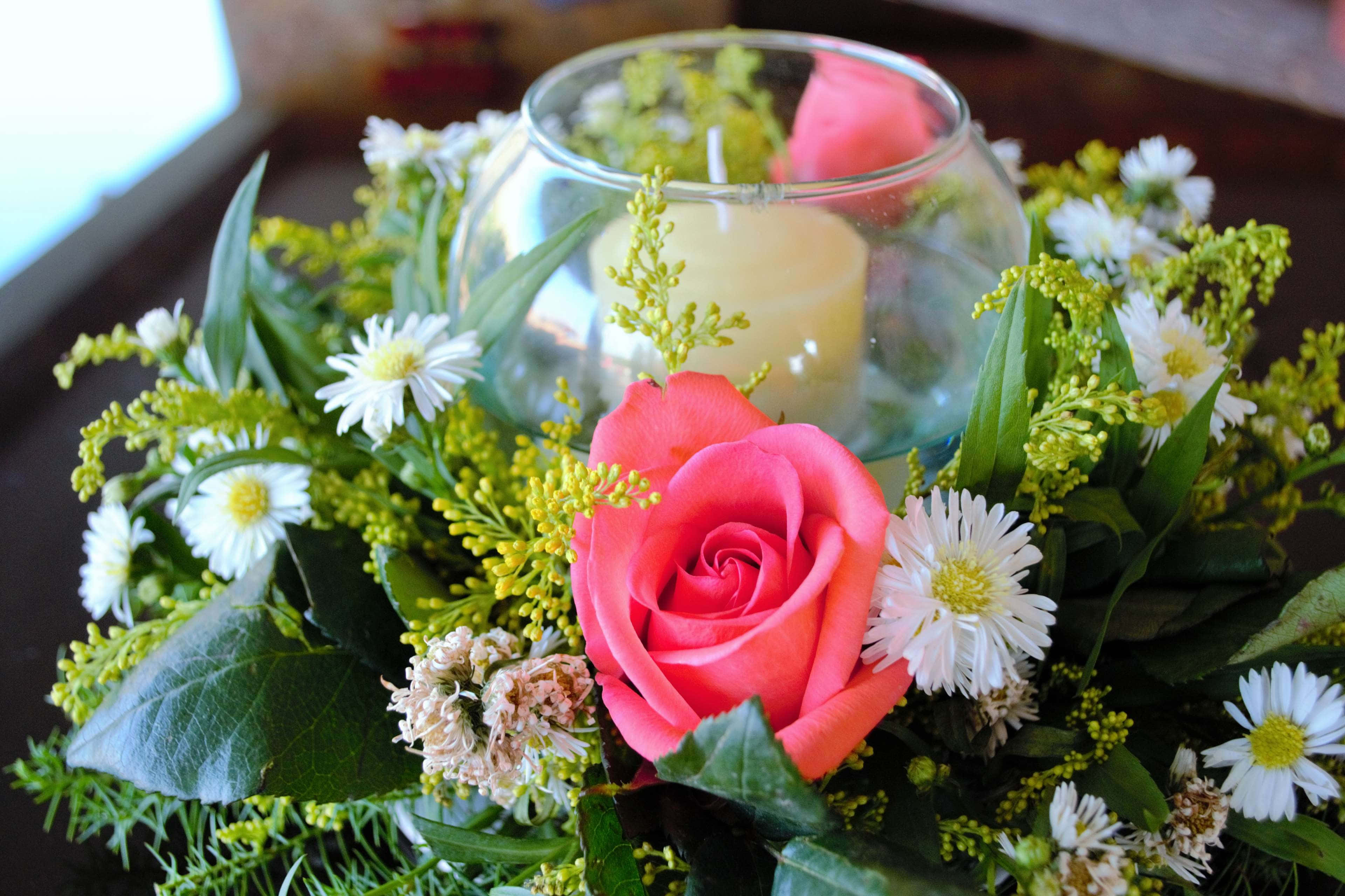 wedding flowers, vibrant pink rose, white daisies, 4K Desktop Wallpaper