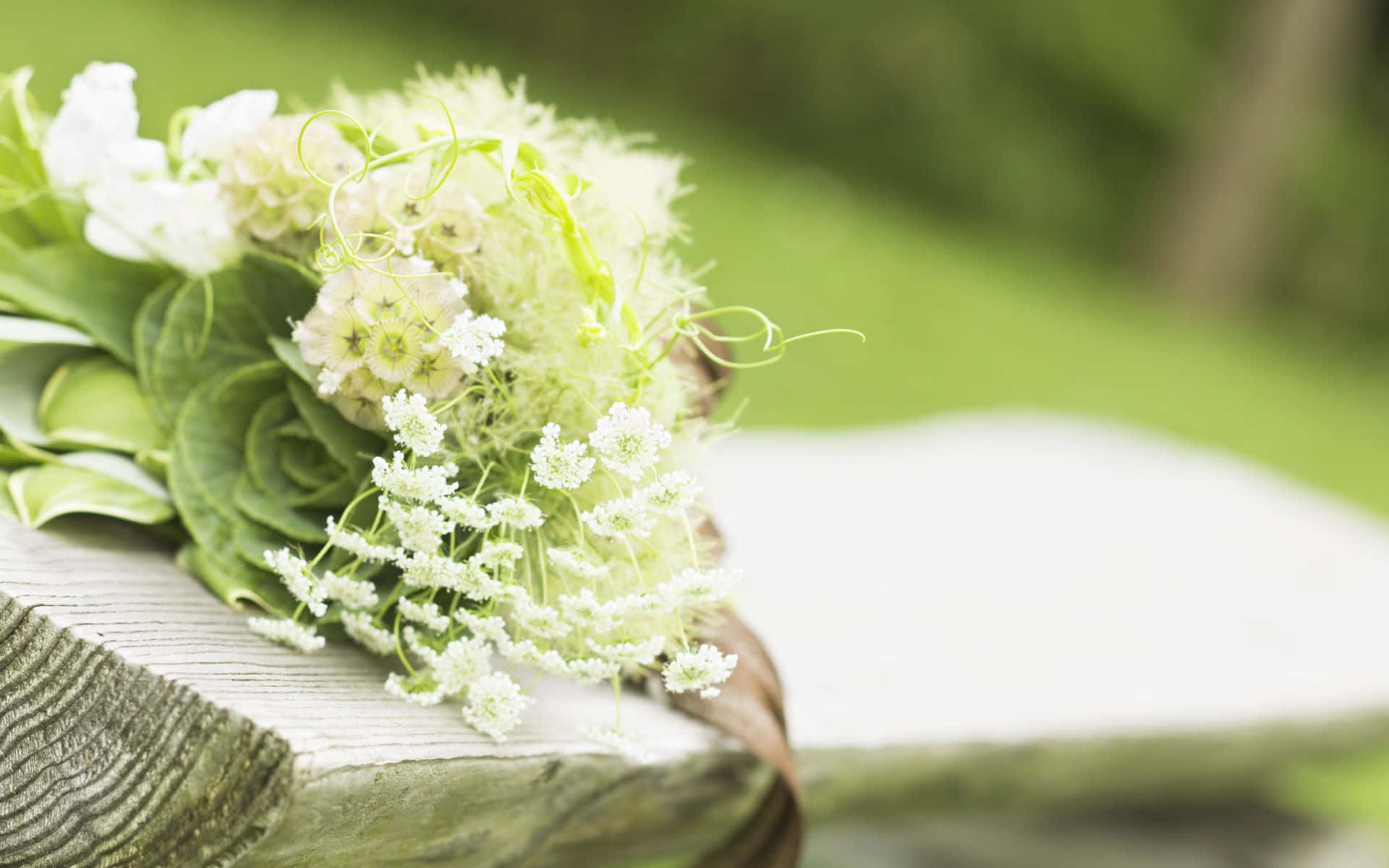white flowers, greenery, weathered wooden surface, Full HD Desktop Wallpaper