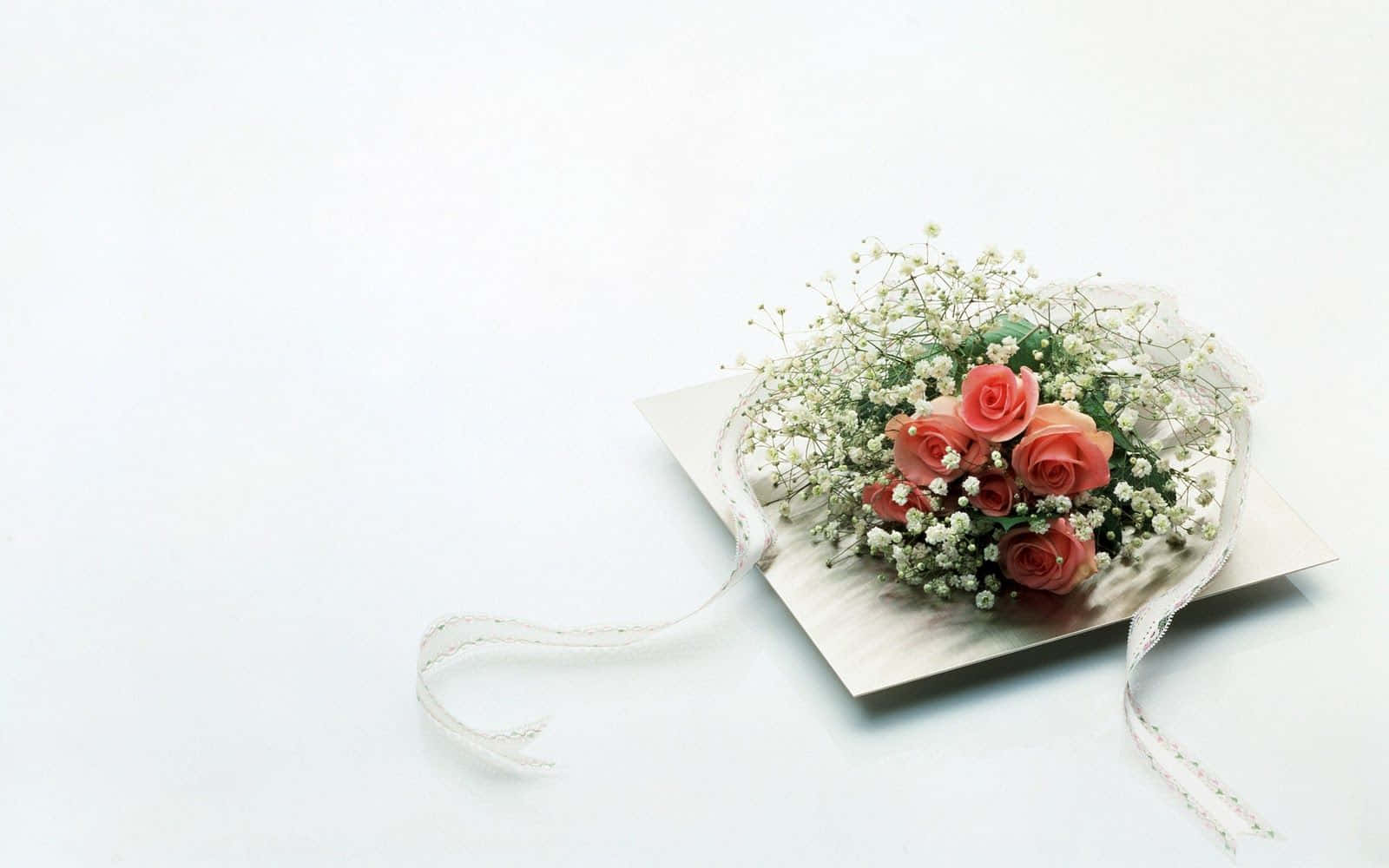 coral roses, baby's breath, white ribbon, HD Desktop Wallpaper