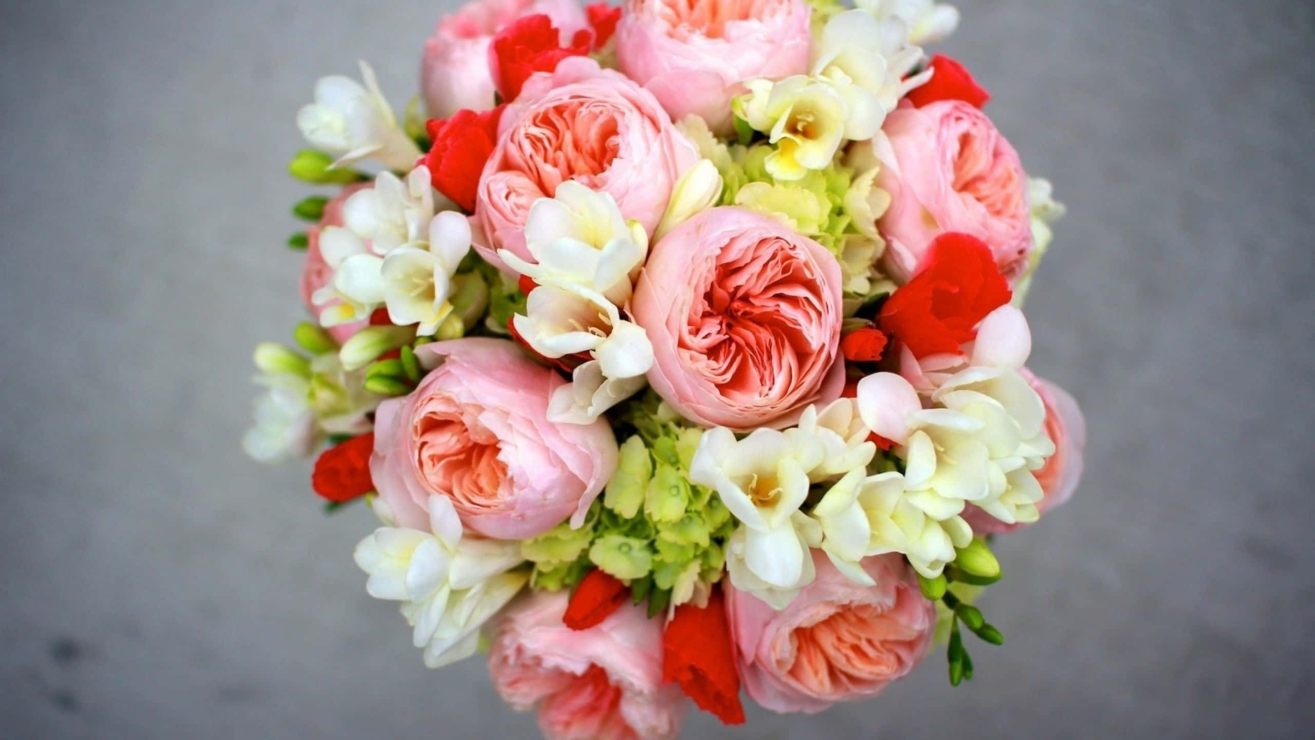 pink peach roses, white freesias, red blooms, 2K Desktop Wallpaper