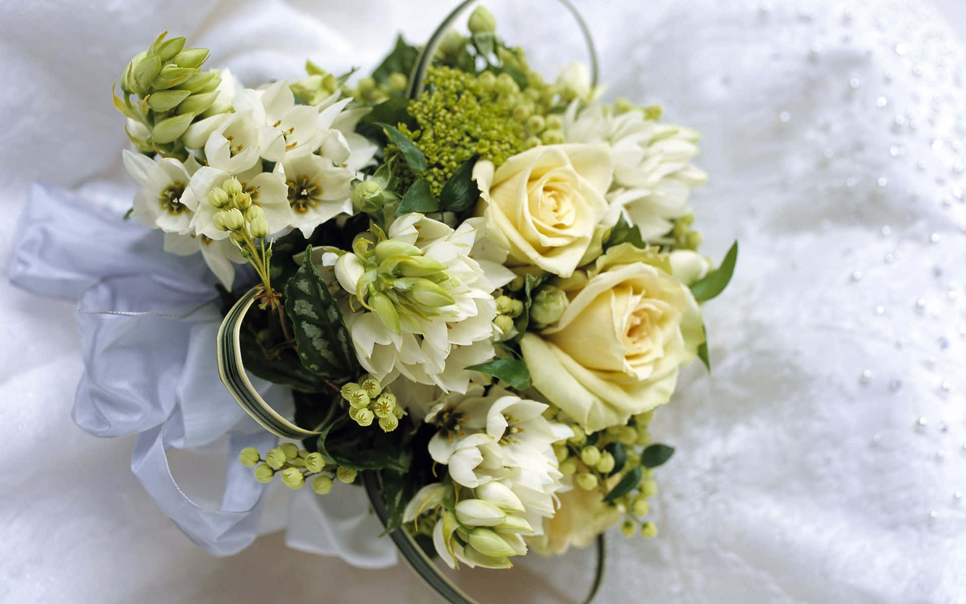creamy white roses, greenery, clear glass vase, Full HD Desktop Wallpaper