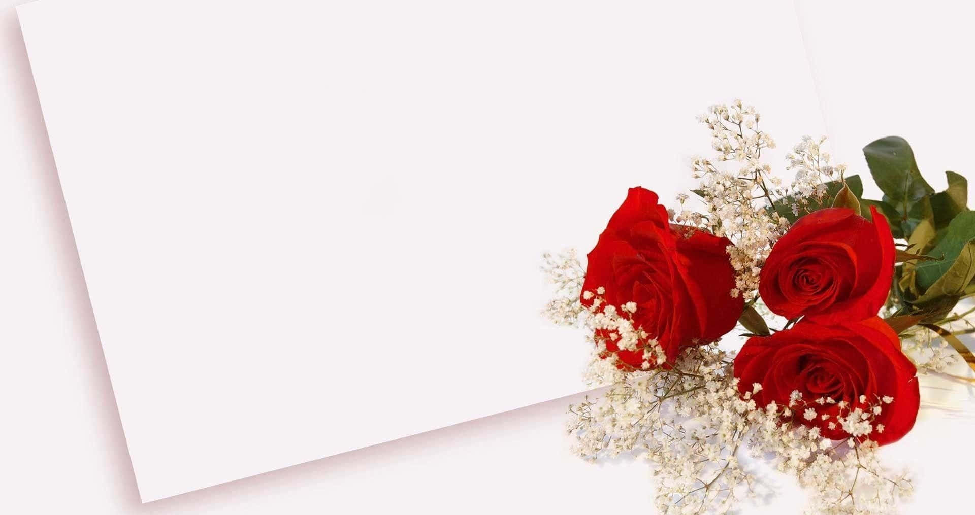 wedding flowers, red roses, white baby's breath, Full HD Desktop Wallpaper