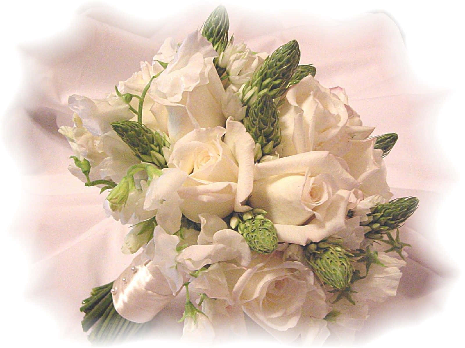 Elegant Bridal Bouquet, pink and white roses, green asparagus ferns, HD Desktop Wallpaper