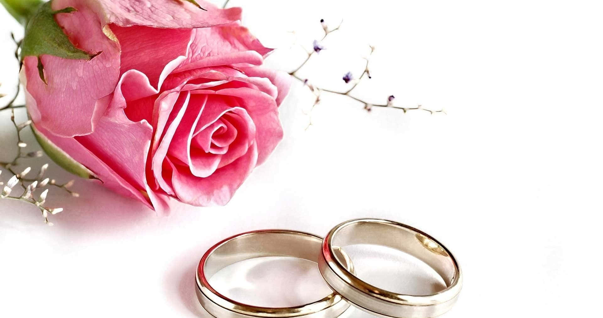 wedding flowers, two gleaming wedding bands, soft pink rose, Full HD Desktop Wallpaper