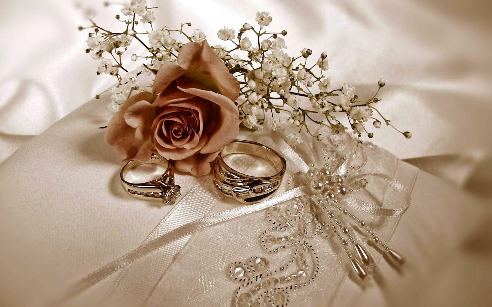 wedding rings, dusty rose, baby's breath, Full HD Desktop Wallpaper