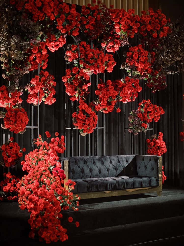roses wedding, vibrant red roses, dark sofa, SD Phone Wallpaper