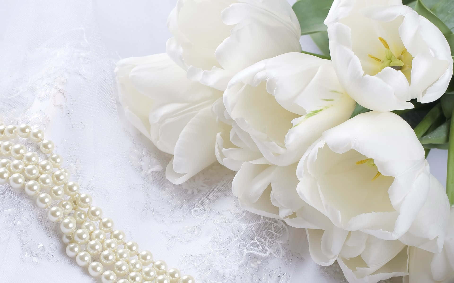 white tulips, pearl strands, lace fabric, Full HD Desktop Wallpaper