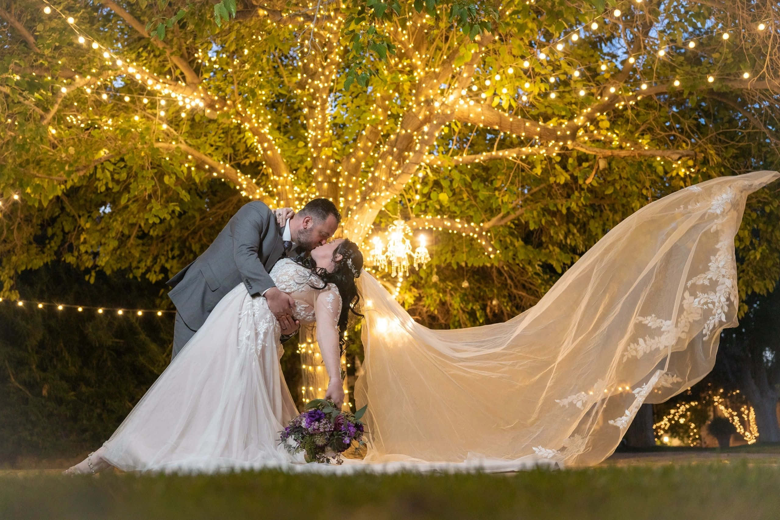Garden Wedding, glowing string lights, twilight, 2K Desktop Wallpaper