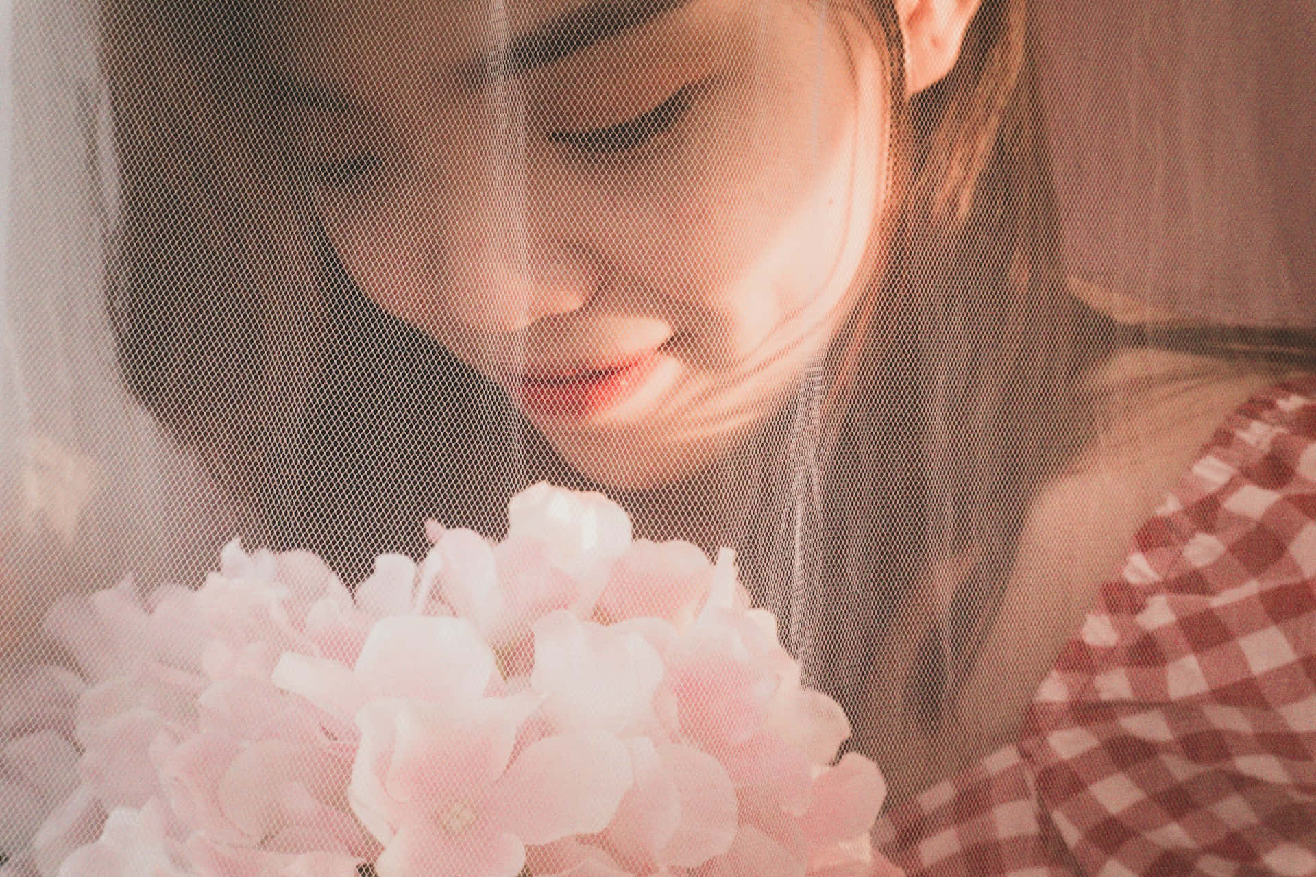red and white checkered shirt, soft pink hydrangeas, sheer veil, Full HD Desktop Wallpaper