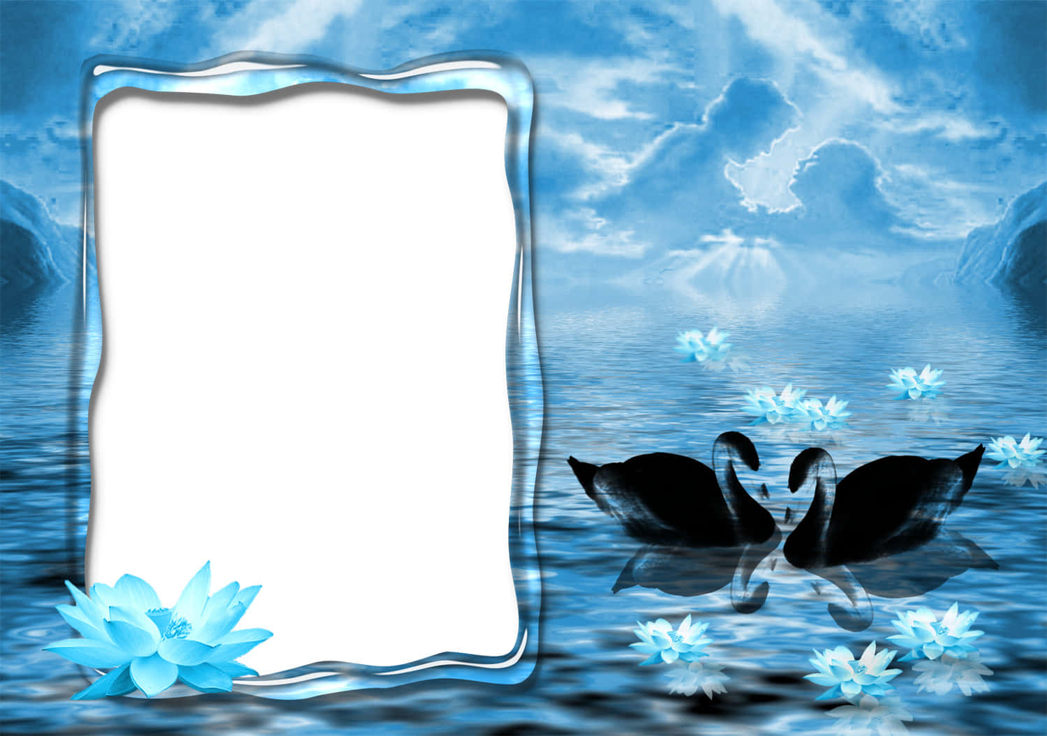 elegant and classic wedding frame, black swans, serene blue lake, HD Desktop Wallpaper