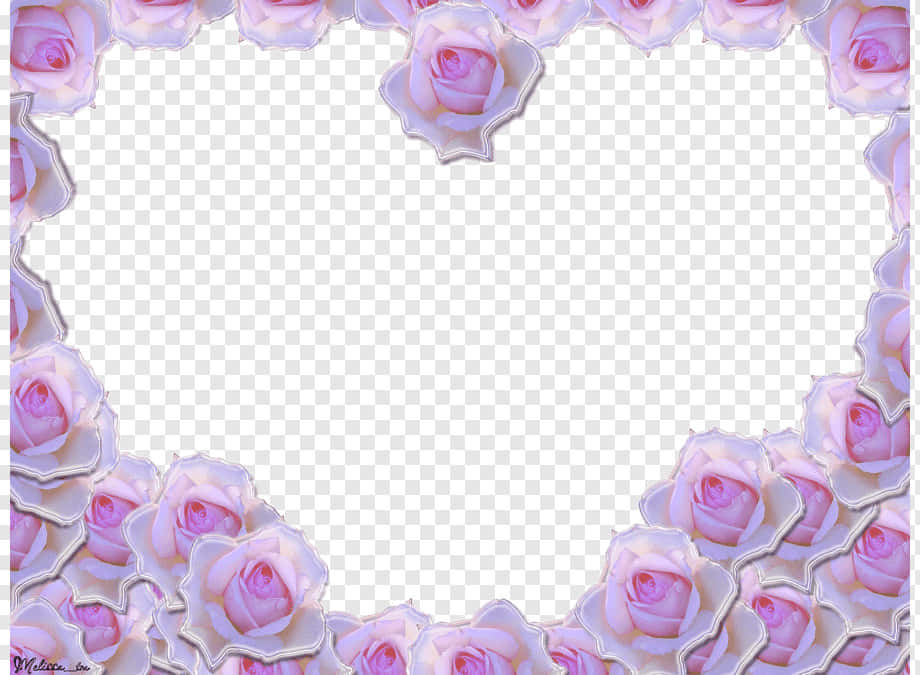 elegant wedding frame, blossoming roses, vows, SD Desktop Wallpaper