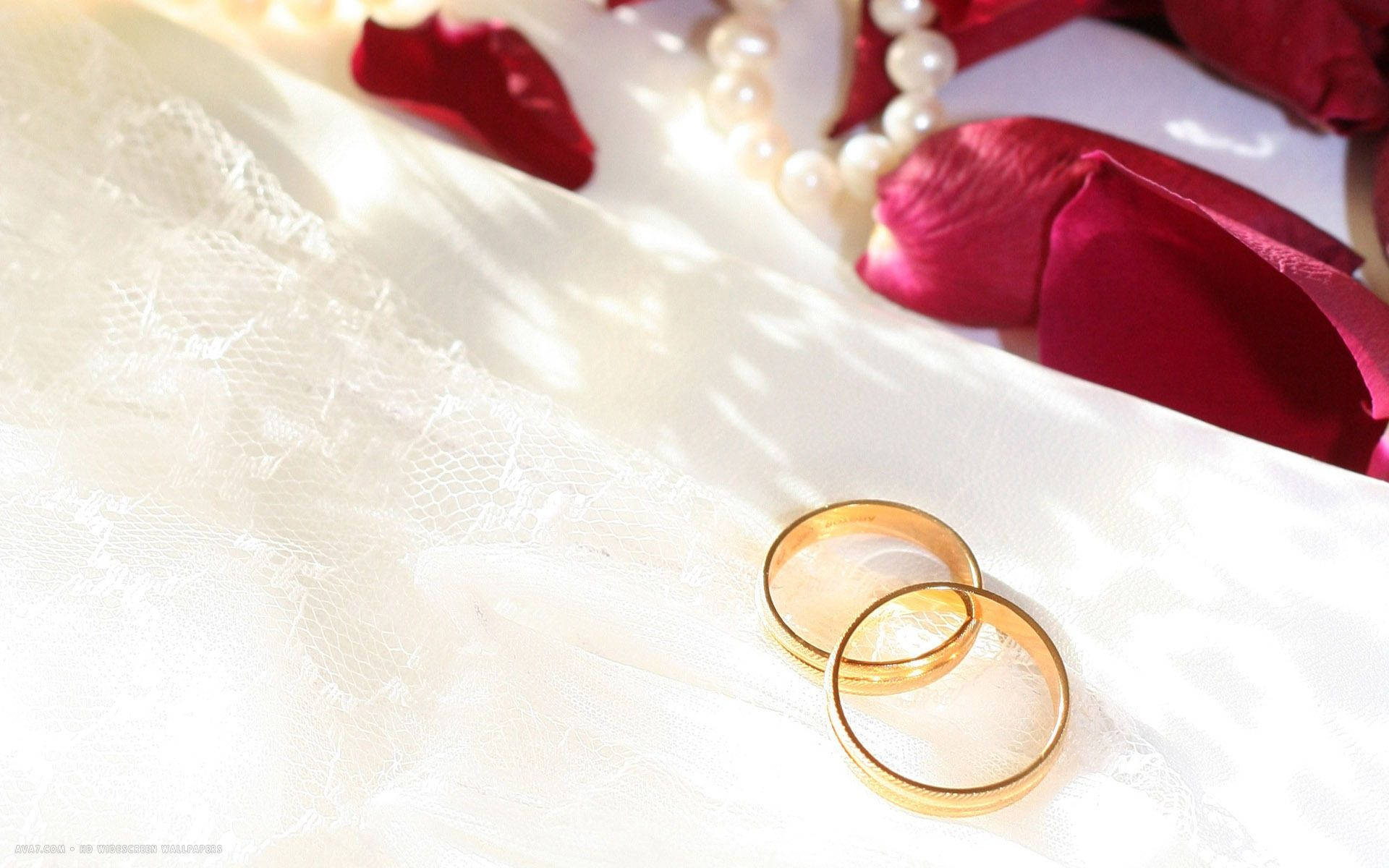 two gold wedding rings, white lace, red rose petals, Full HD Desktop Wallpaper