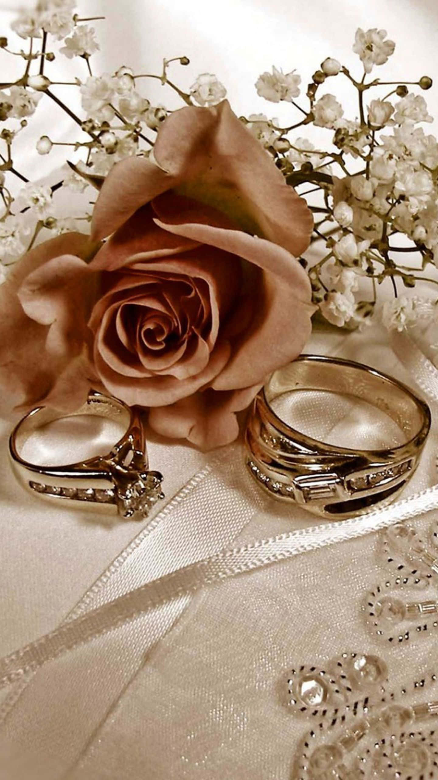 beige rose, gold wedding rings, white lace fabric, 2K Phone Wallpaper