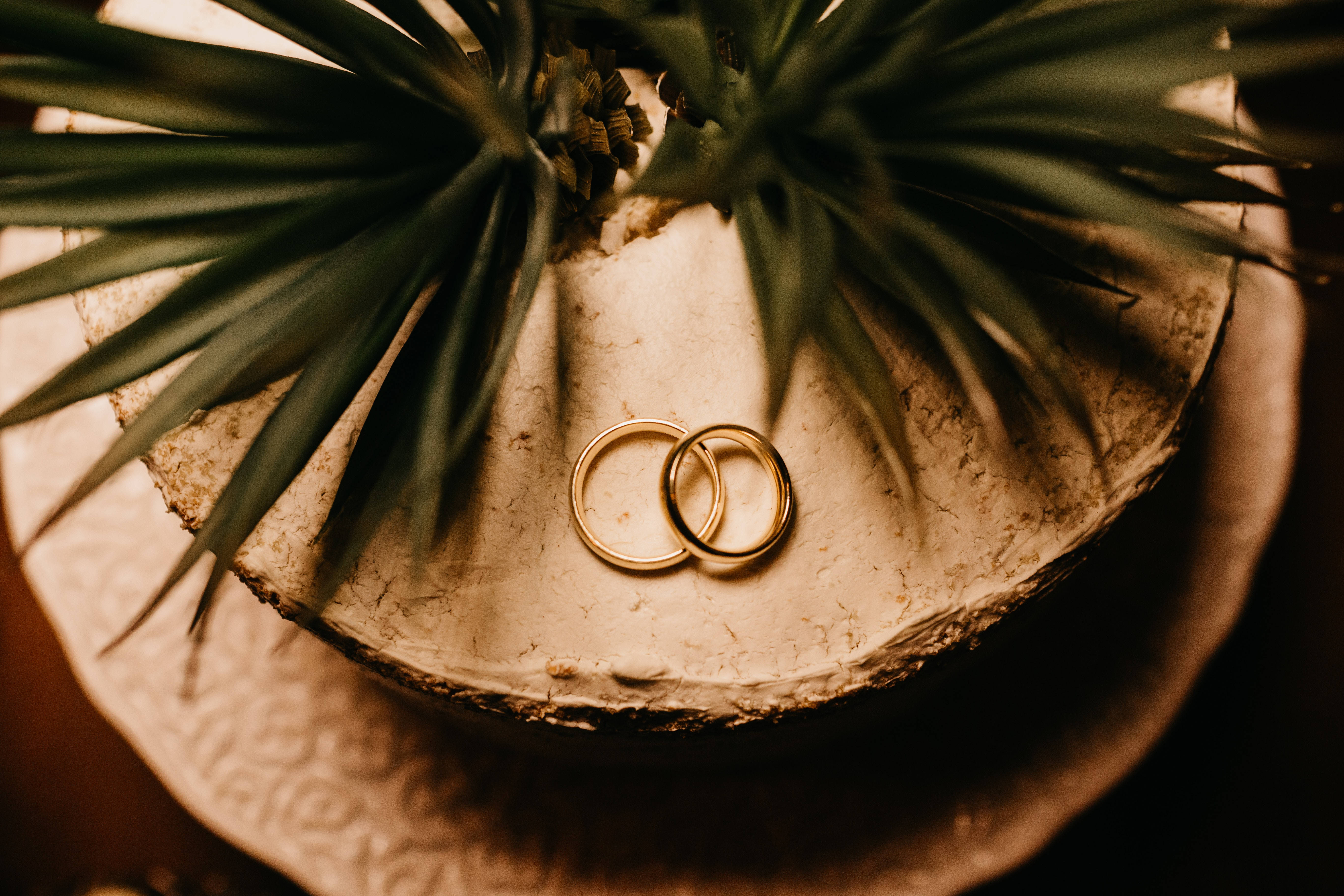 gold rings, textured stone surface, spiky green palm fronds, 5K Desktop Wallpaper