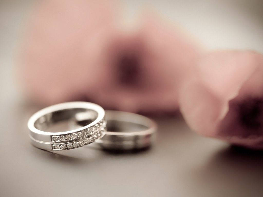 silver wedding rings, pink flowers, diamond accents, SD Desktop Wallpaper