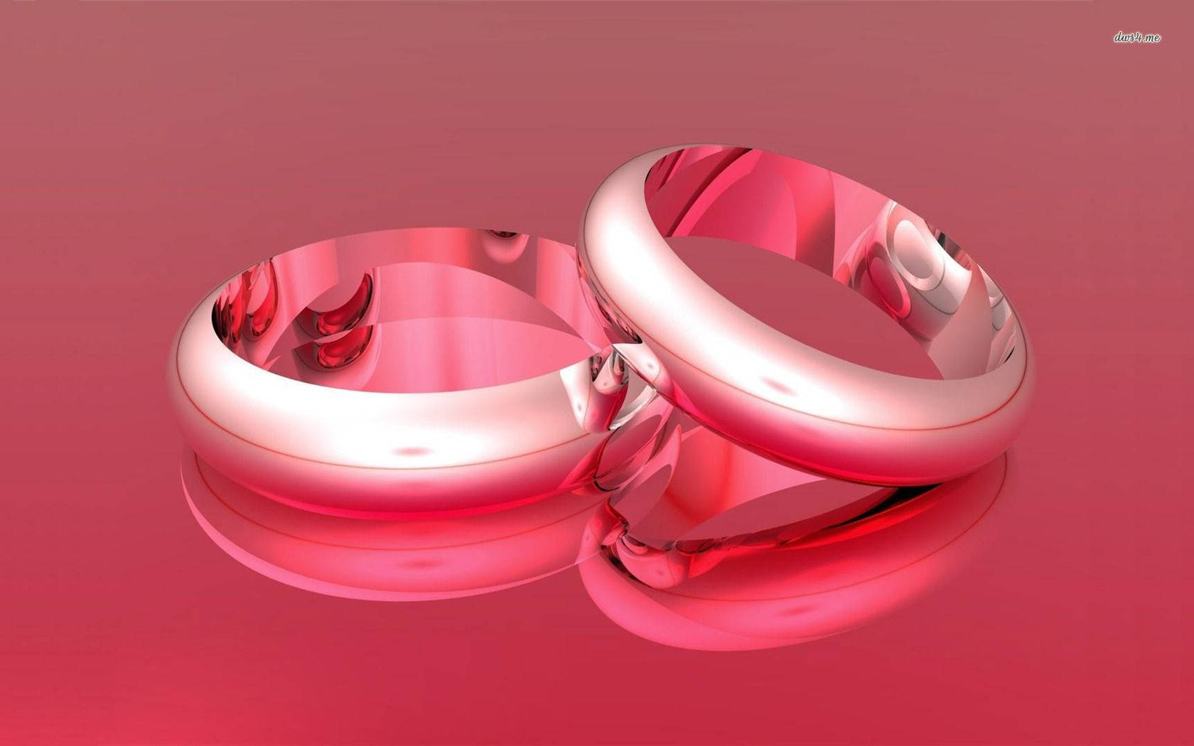 fancy pink wedding rings, shiny metallic rings, soft pink gradient background, HD Desktop Wallpaper