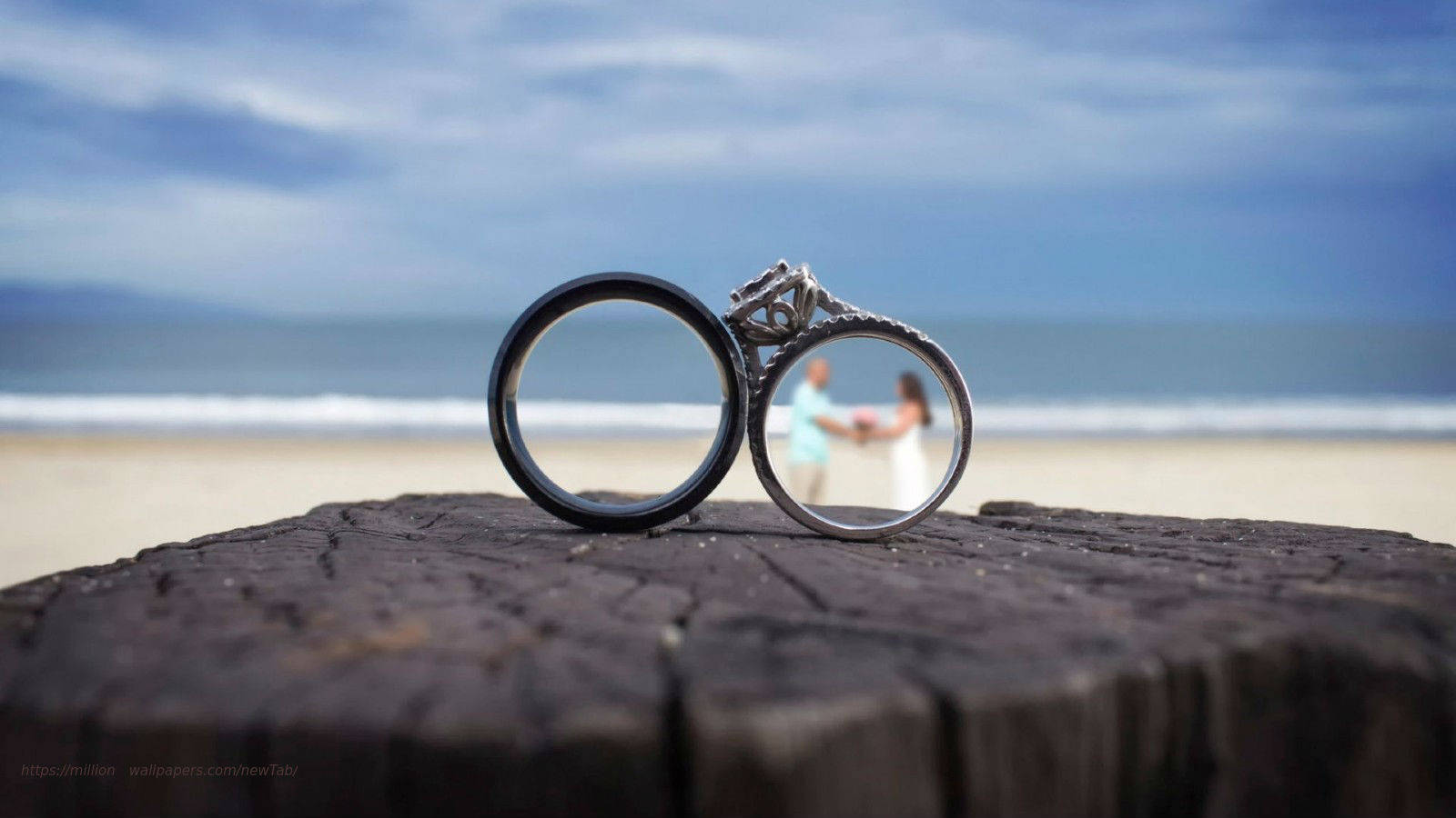 wedding rings, beach, weathered log, HD Desktop Wallpaper