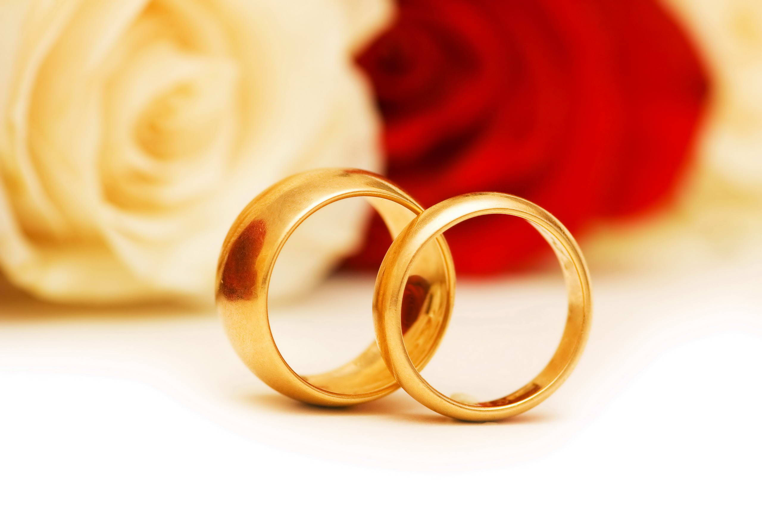 gold wedding rings, roses, cream roses, 2K Desktop Wallpaper