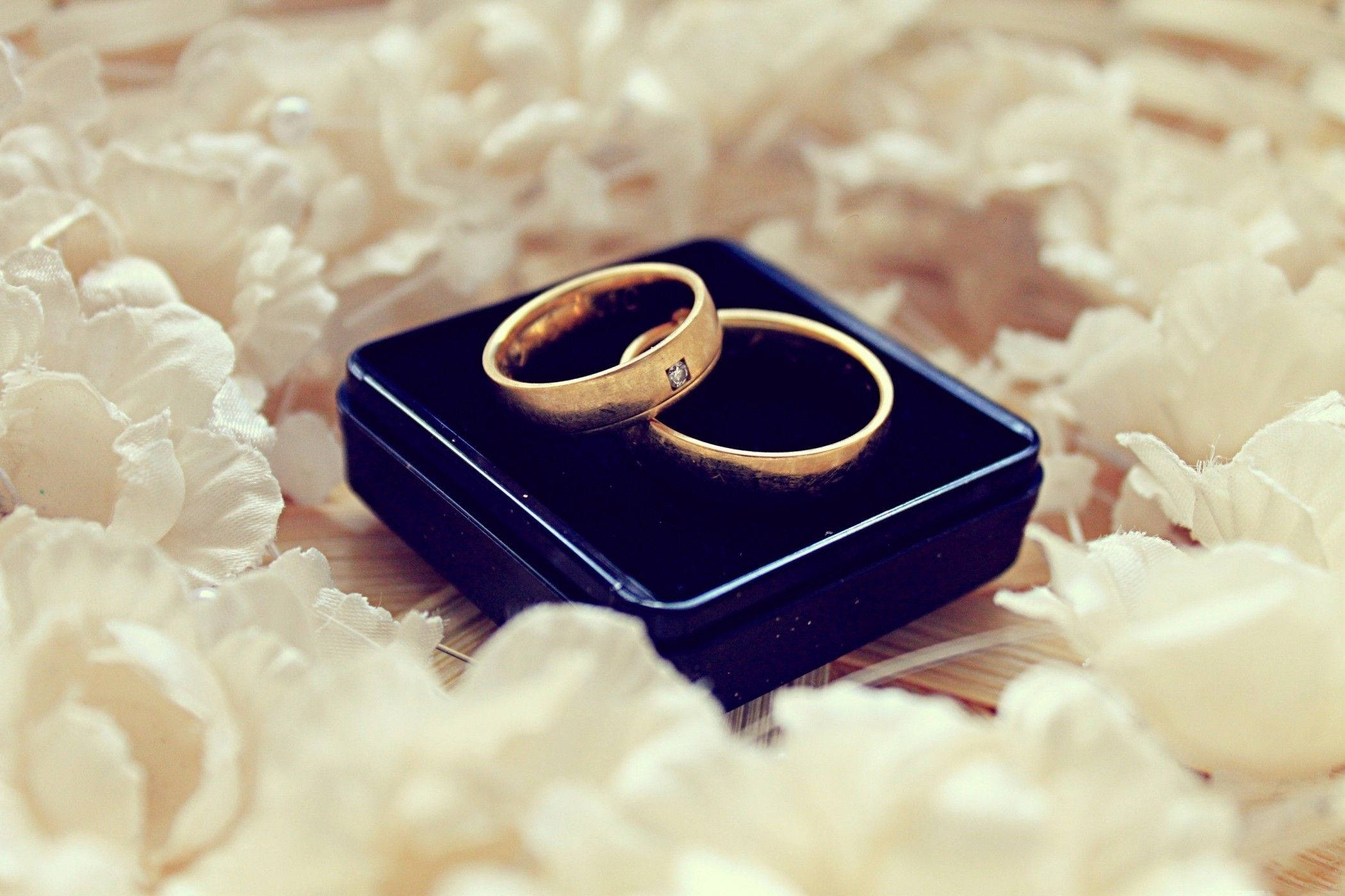 gold wedding rings, blue box, black velvet box, Full HD Desktop Wallpaper