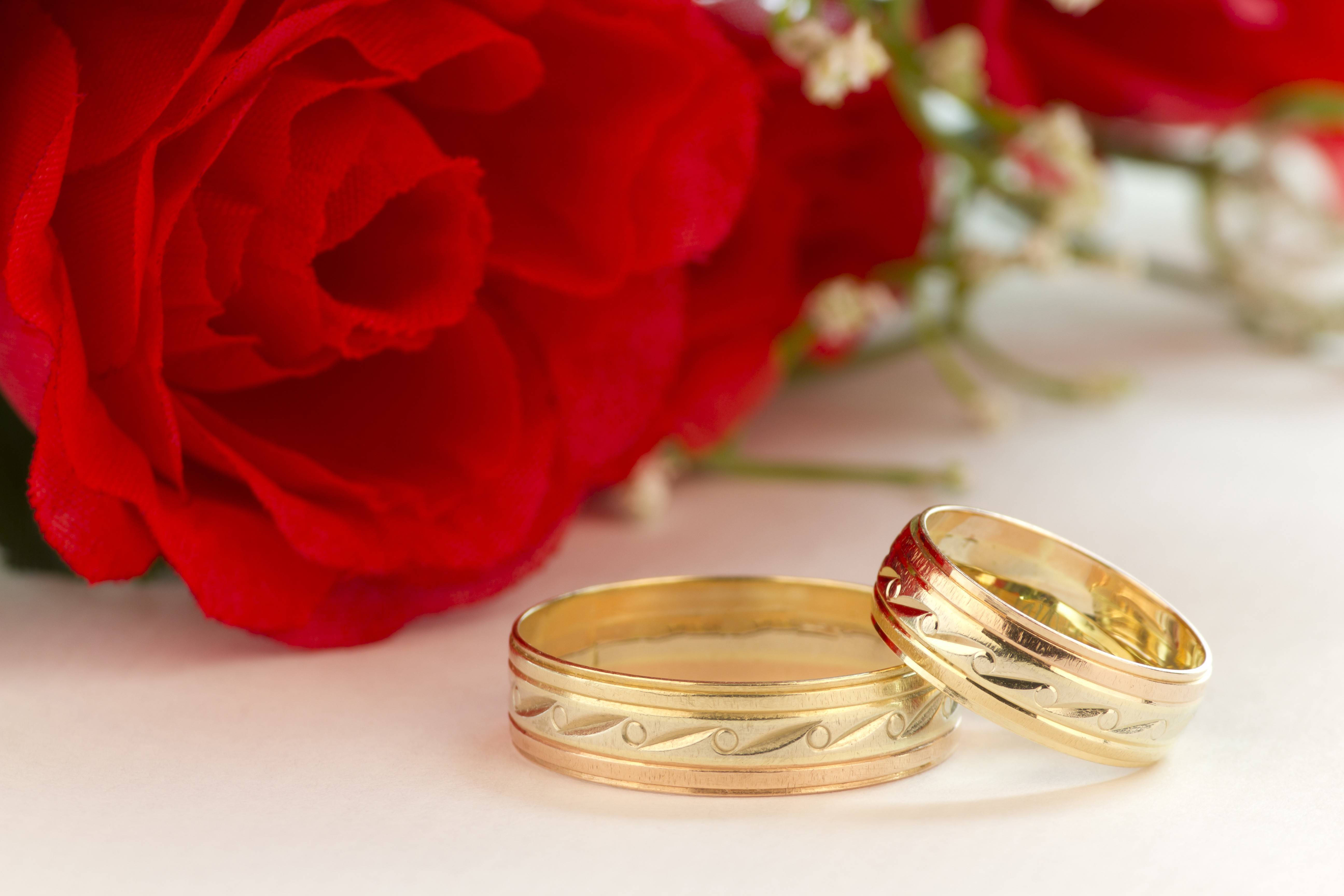 gold wedding rings, red rose, soft white surface, 5K Desktop Wallpaper