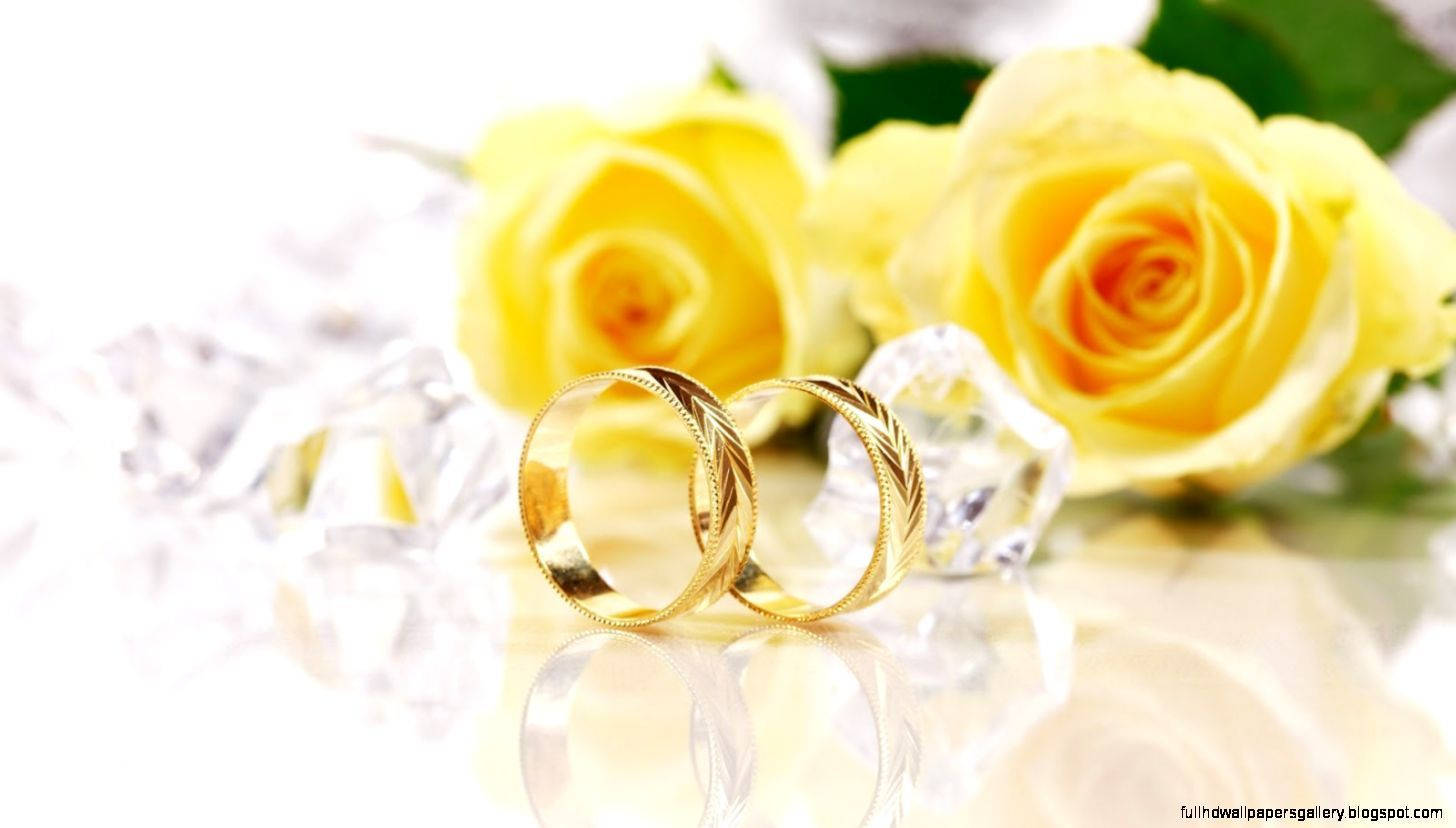 gold wedding rings, yellow flowers, yellow roses, HD Desktop Wallpaper