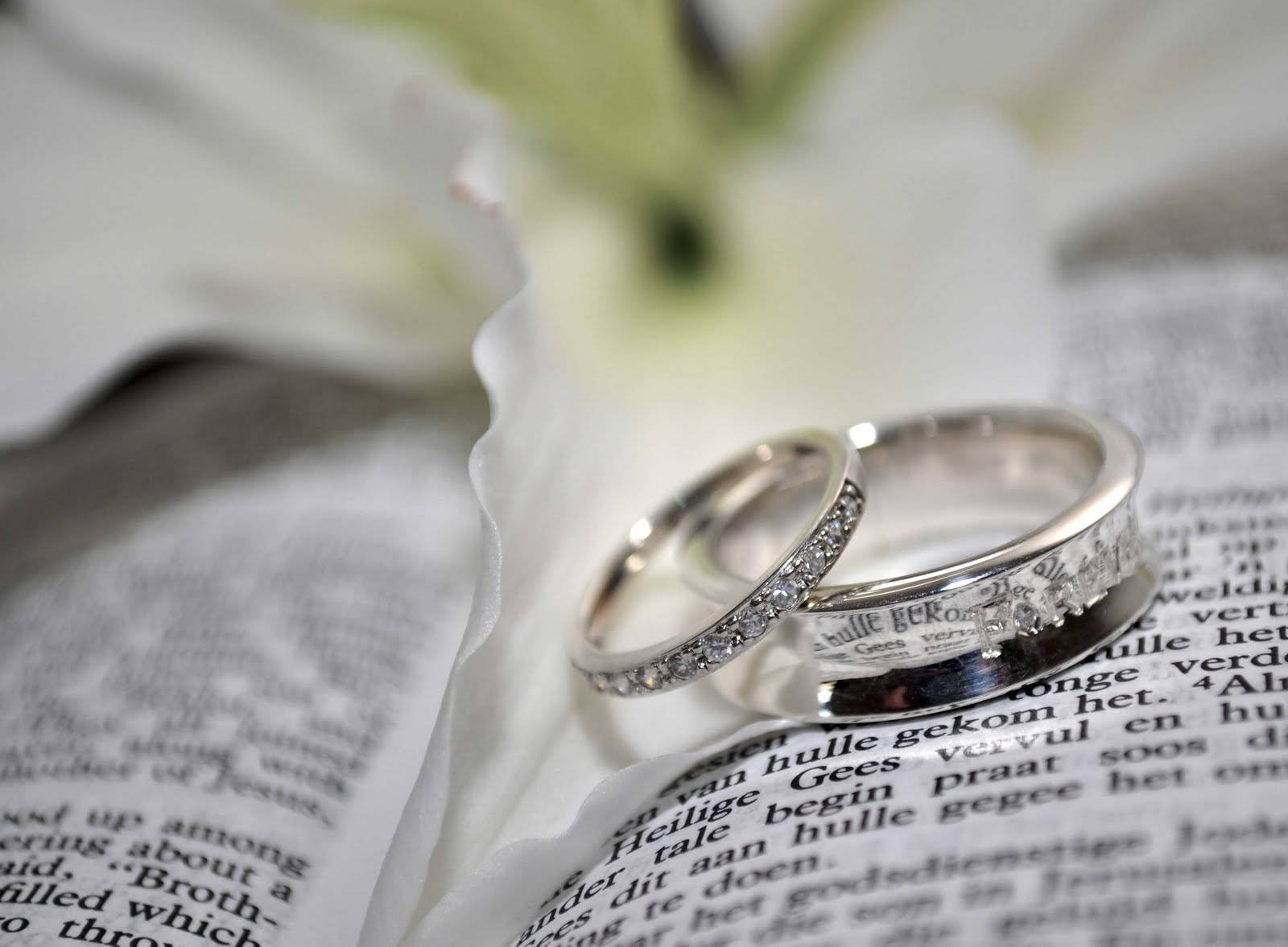 silver wedding bands, diamond accents, open book, HD Desktop Wallpaper