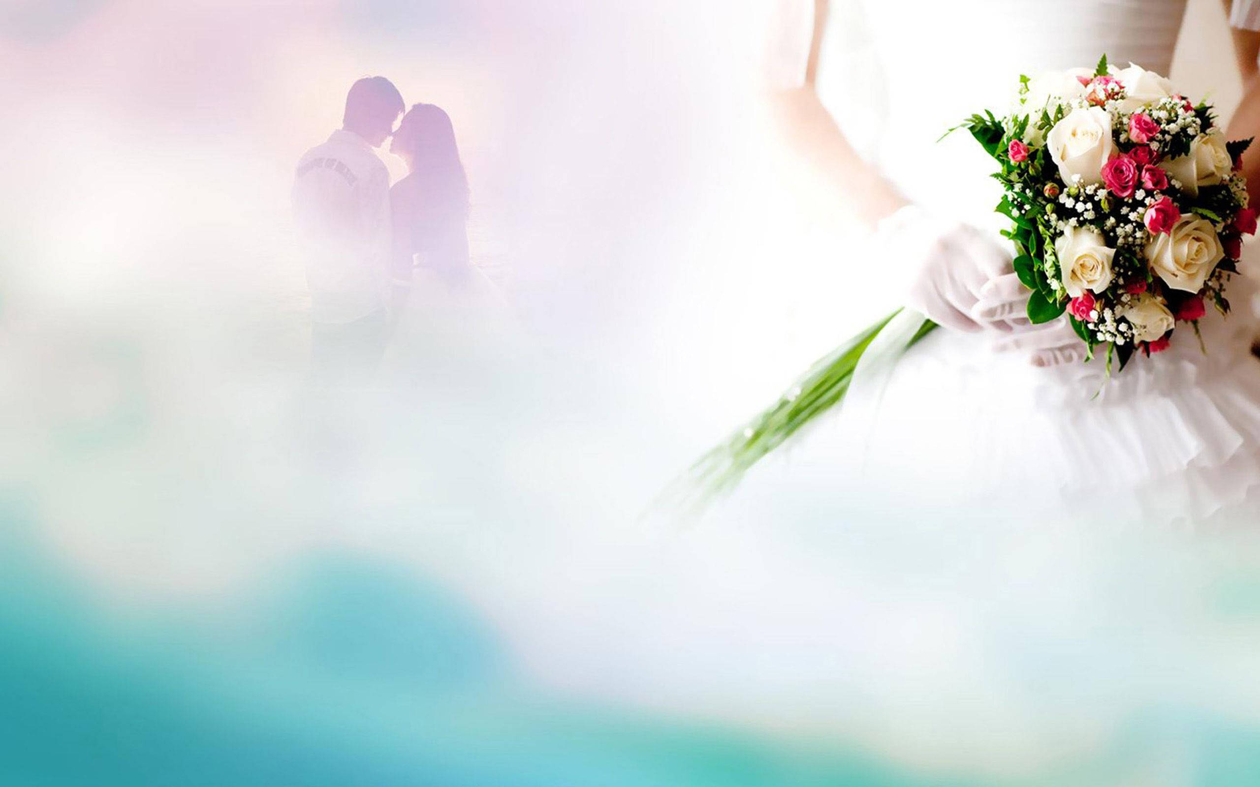 Wedding Album, white dress, white and pink roses, 2K Desktop Wallpaper