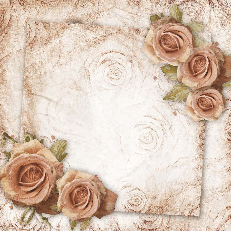rose gold color, vintage beige roses, textured parchment, SD Desktop Wallpaper