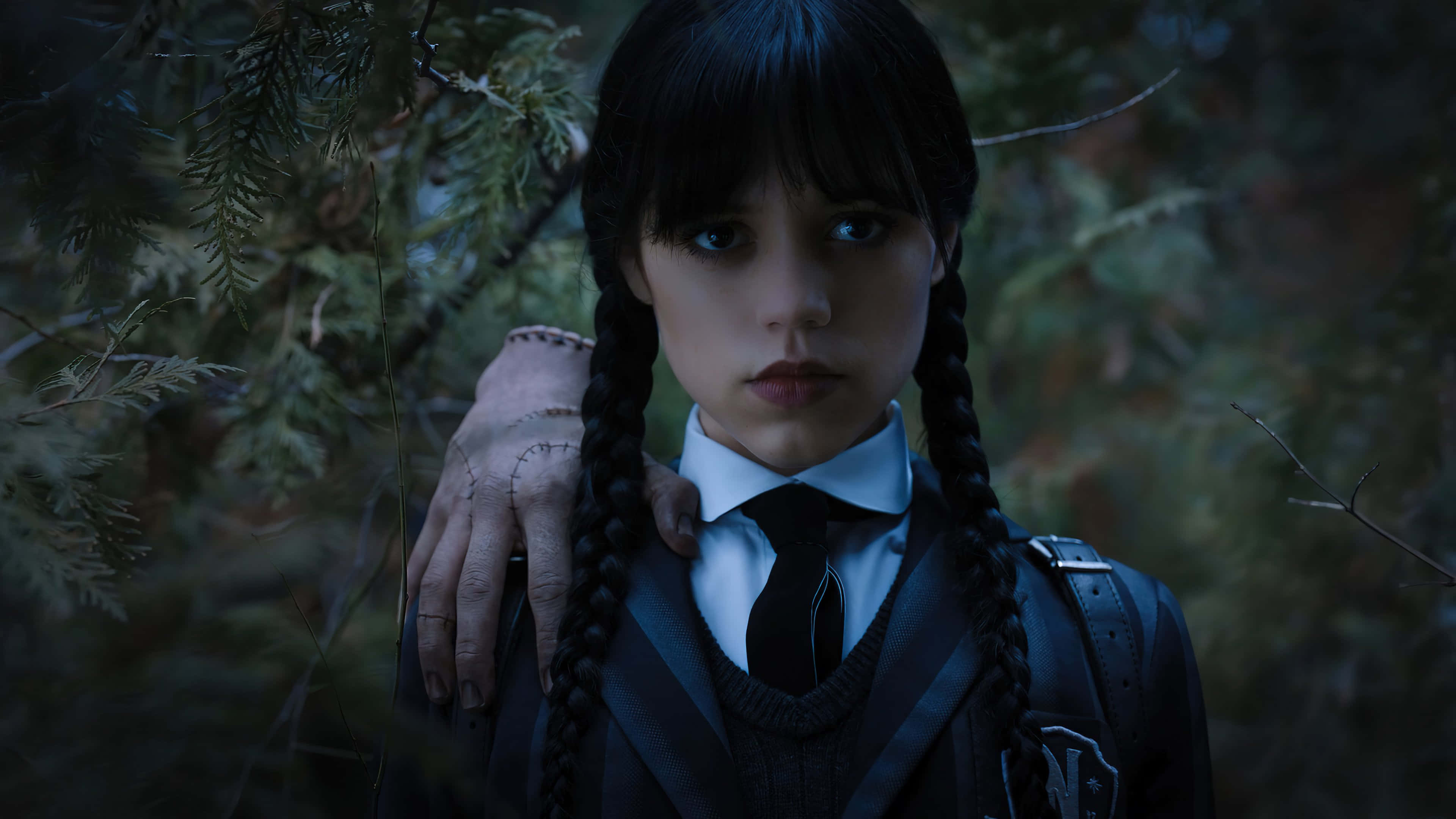 Wednesday Addams, forest, dim forest, 4K Desktop Wallpaper