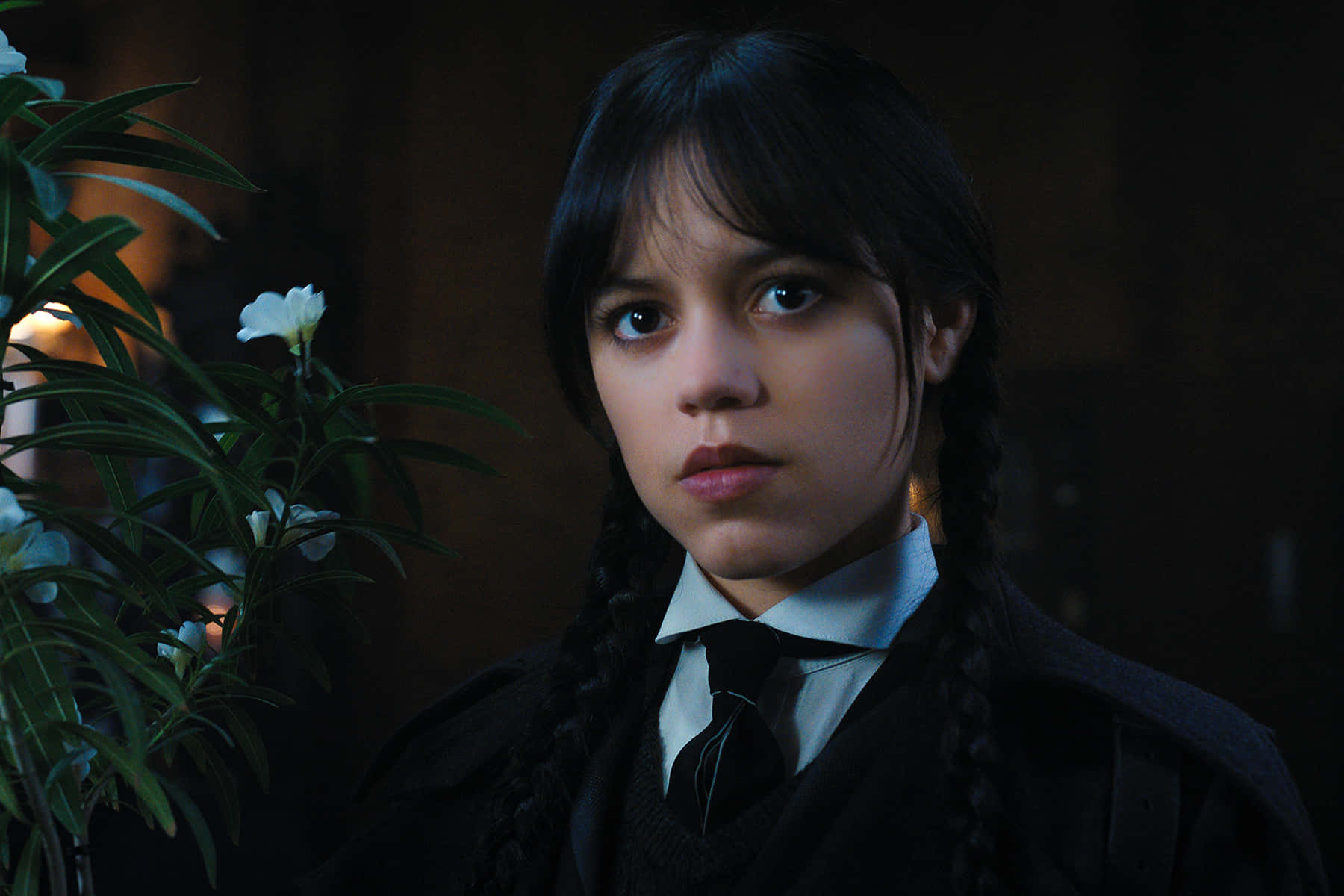 Wednesday Addams, black school uniform, dark braids, HD Desktop Wallpaper