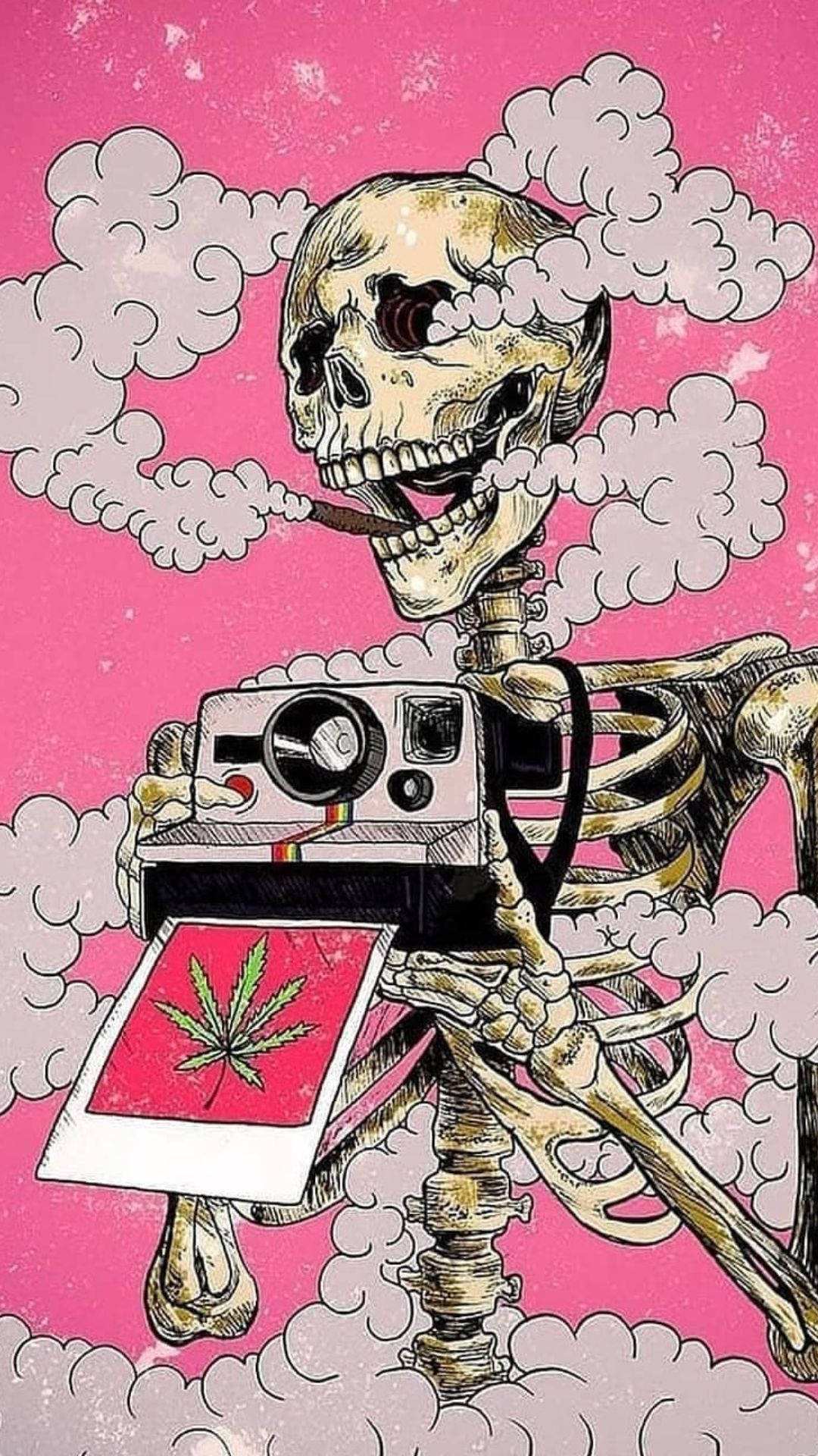 Smoked Skeleton Cameraman, Polaroid camera, cannabis leaf, Full HD Phone Wallpaper