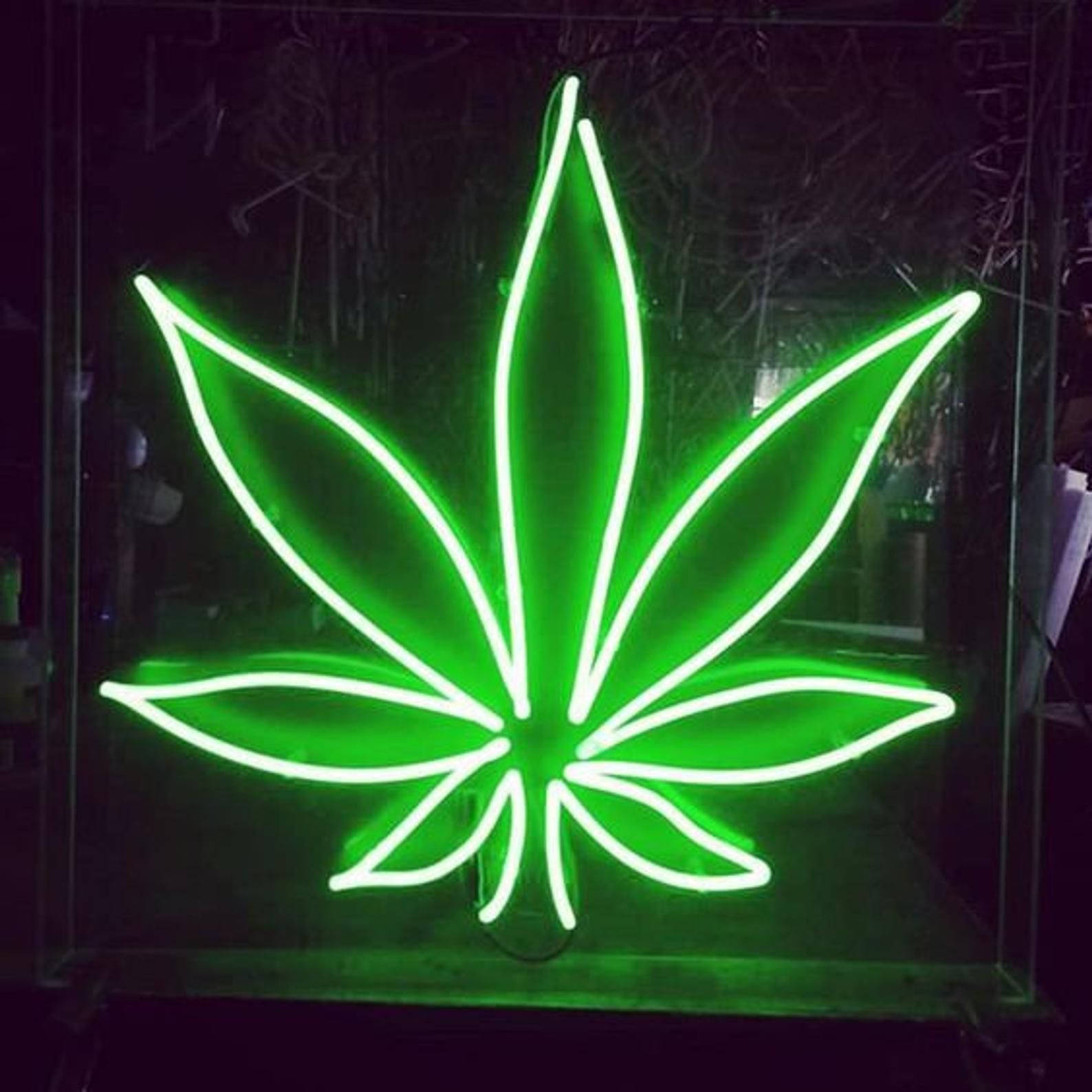 Weed Aesthetic, neon light green, cannabis leaf sign, HD Desktop Wallpaper
