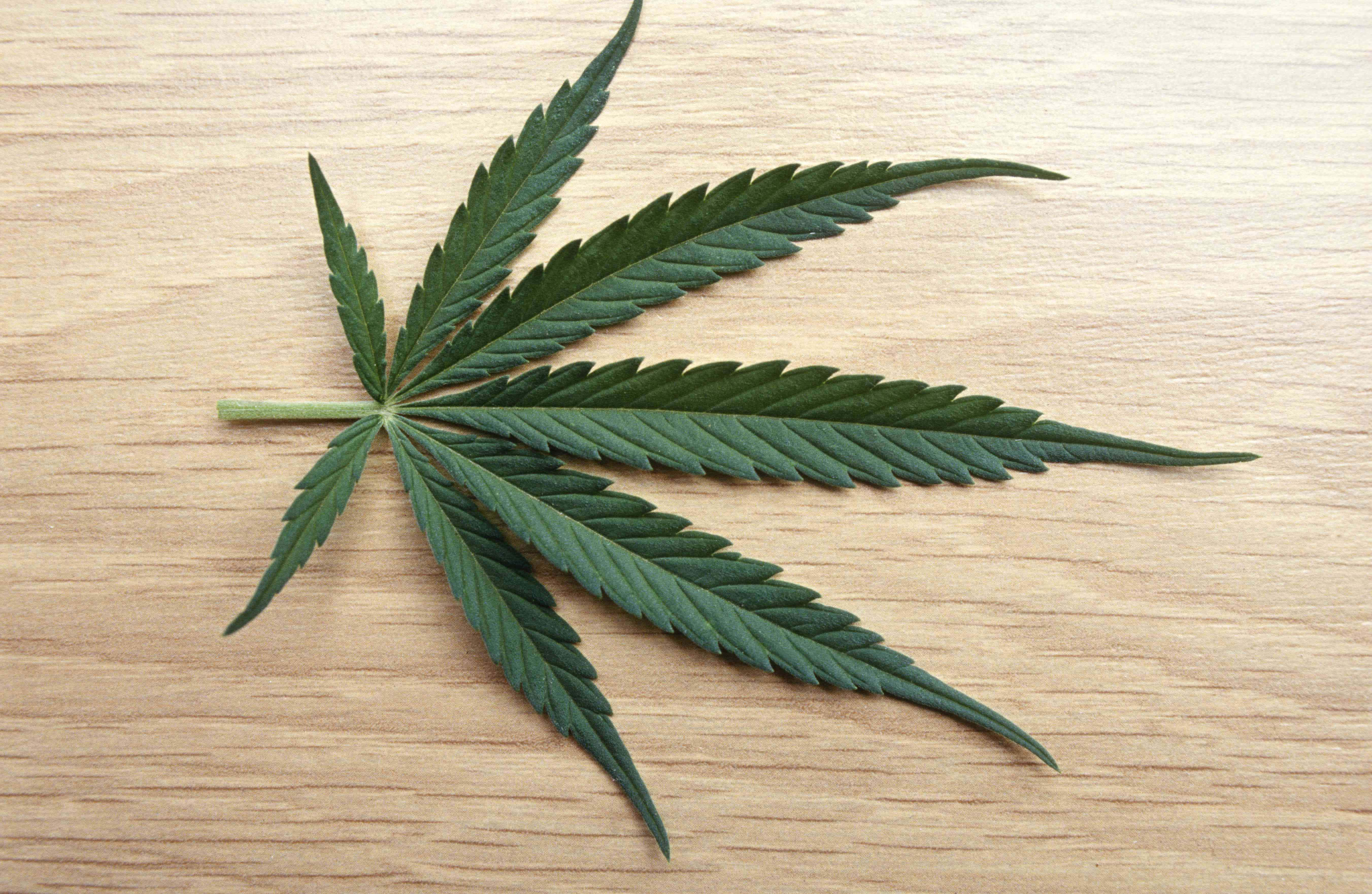 weed blunt, vibrant green cannabis leaf, light wood surface, 5K Desktop Wallpaper
