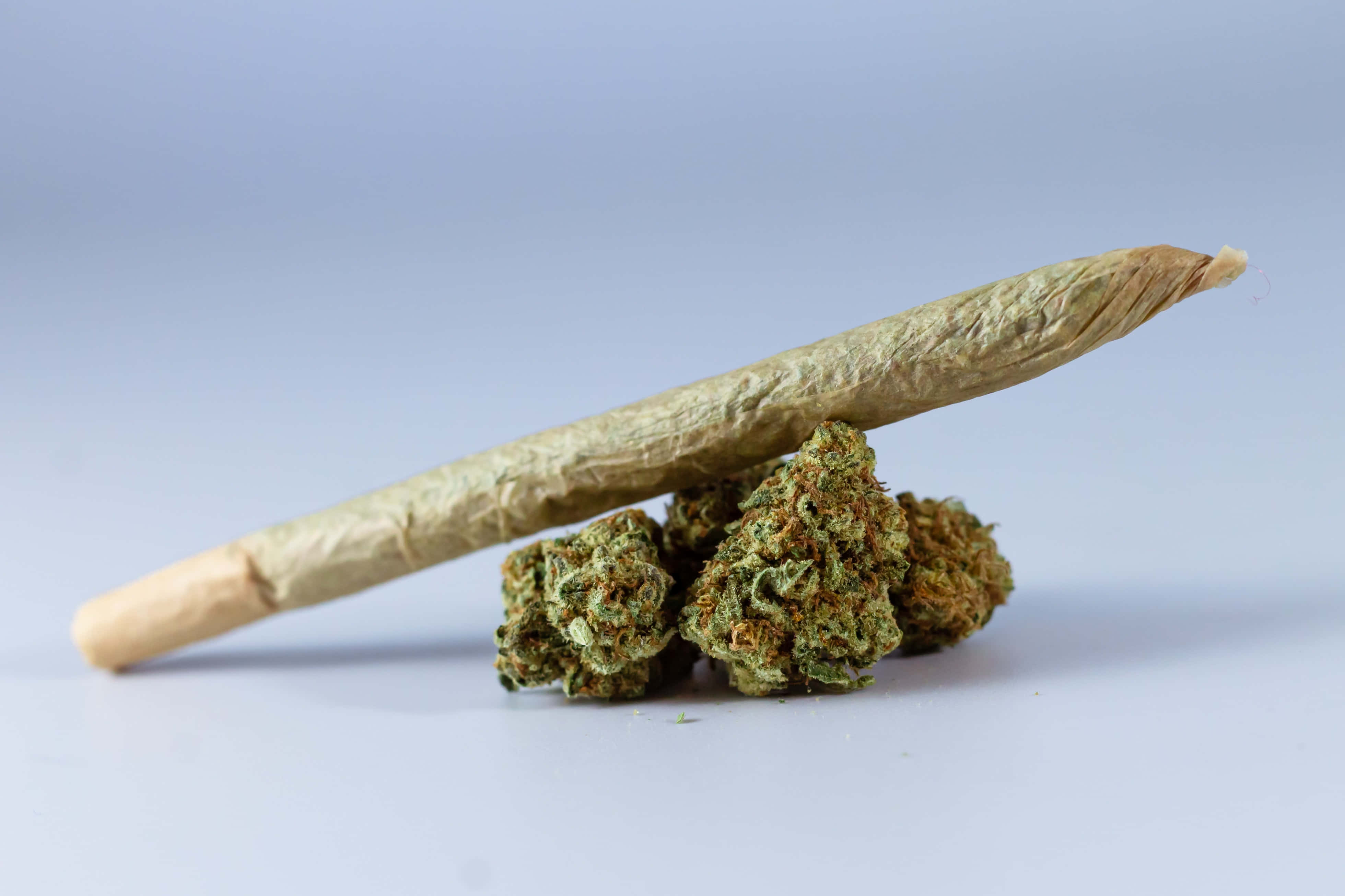 Weed Blunt, cannabis joint, dense green marijuana buds, 4K Desktop Wallpaper
