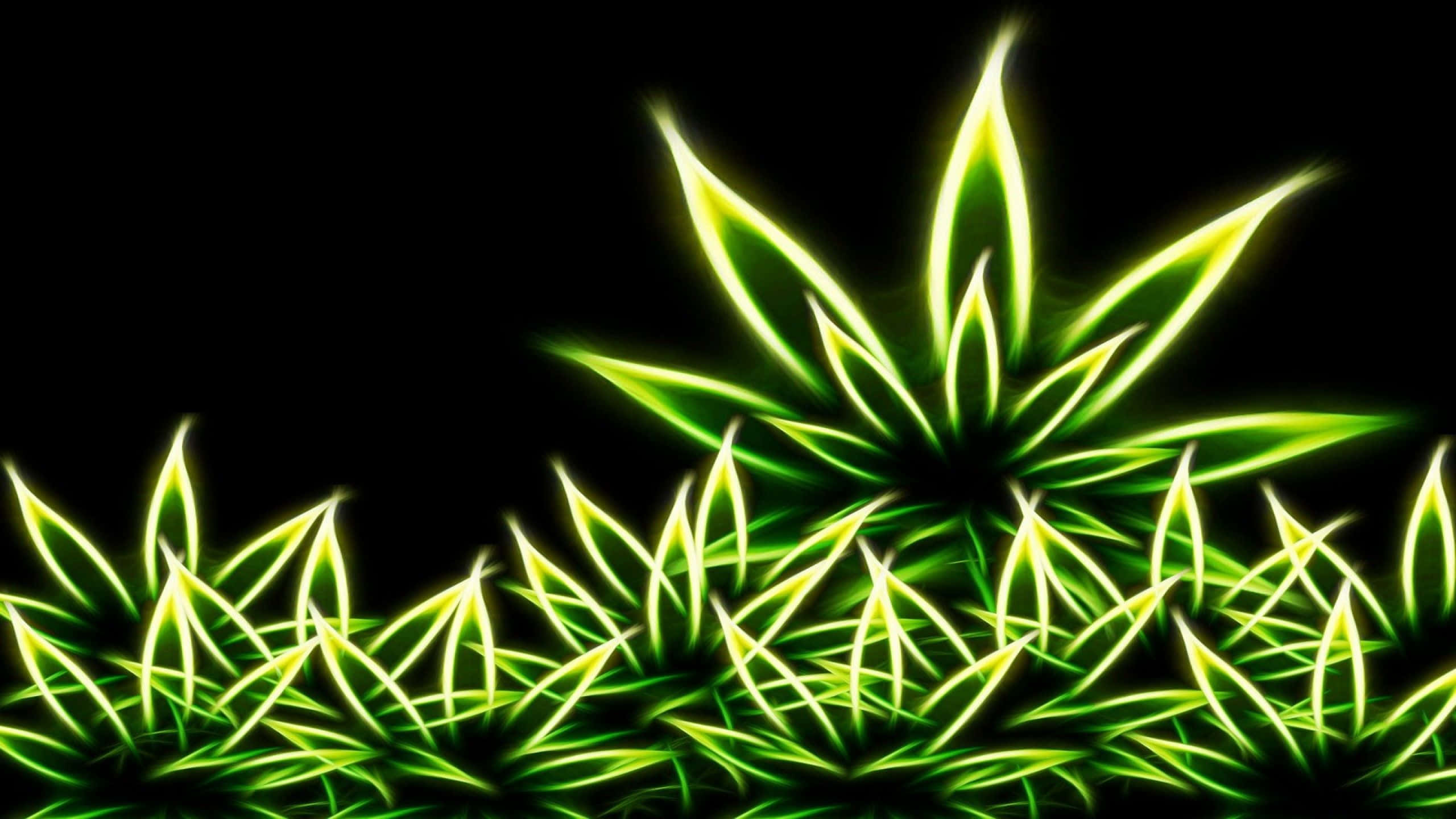 Neon green, pitch black background, electric outlines, 2K Desktop Wallpaper