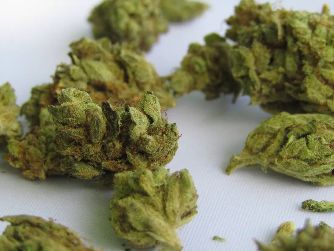 Weed