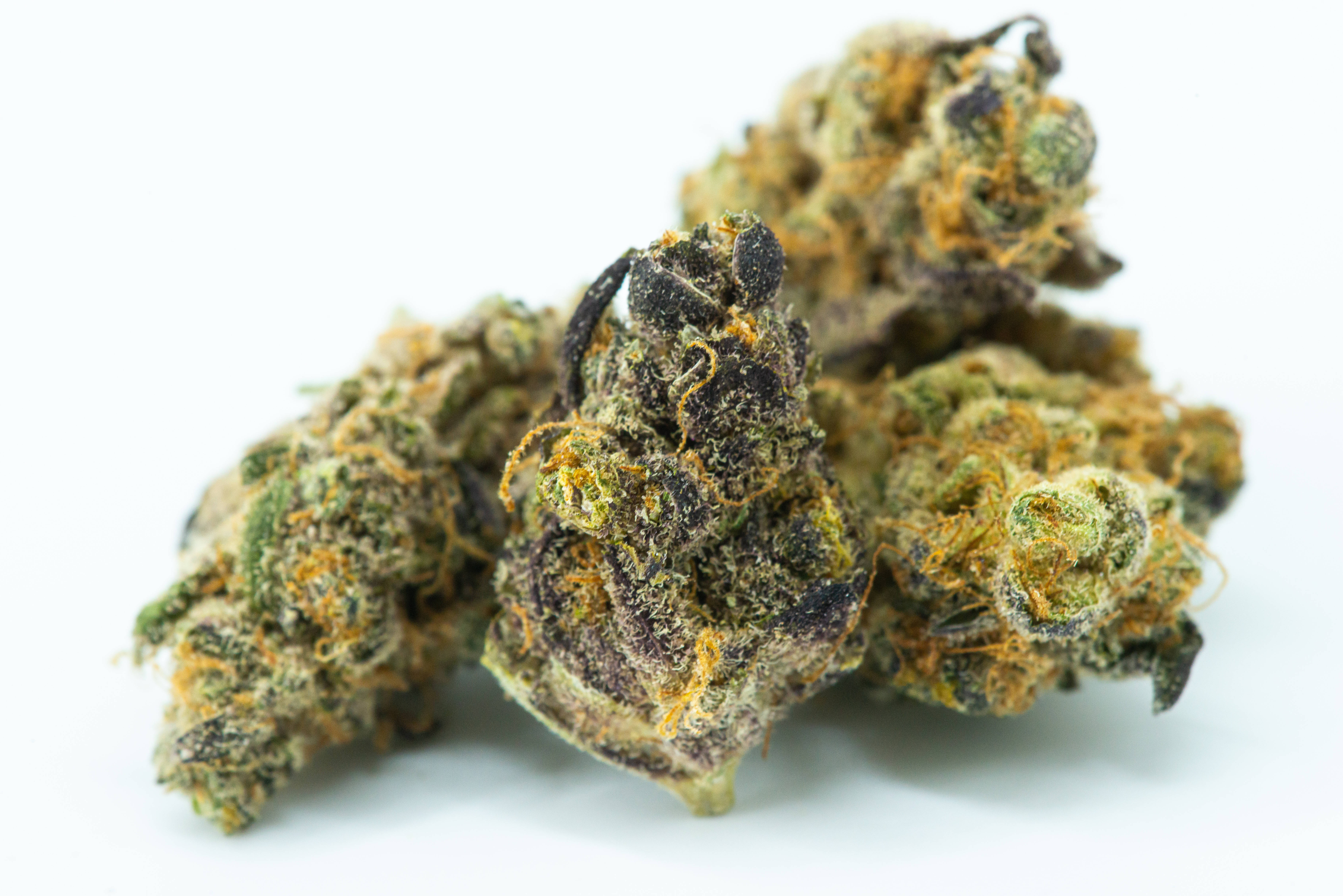 cannabis plant, dense cannabis buds, green purple hues, 5K Desktop Wallpaper