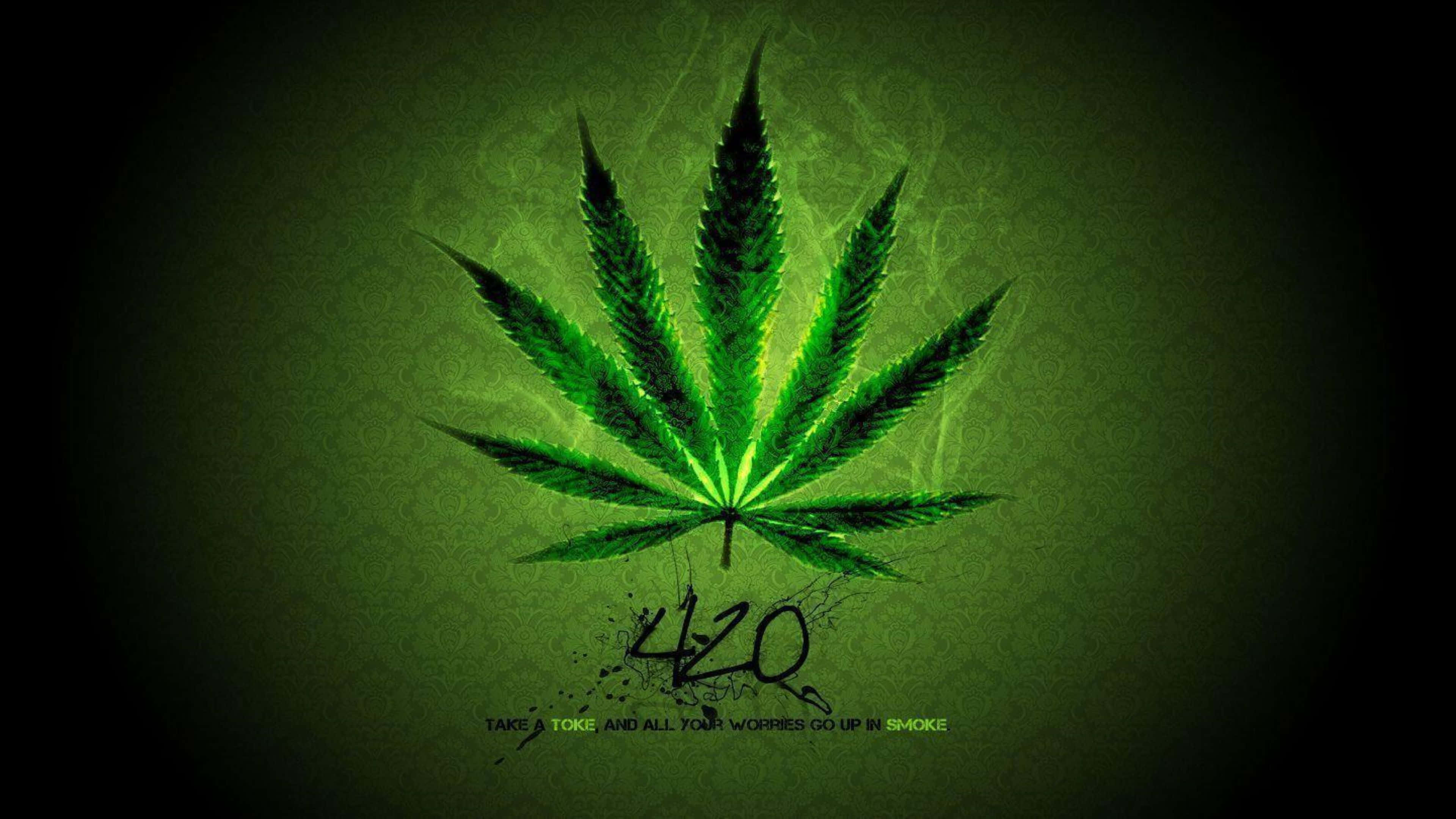 4K, 420, cannabis leaf, 4K Desktop Wallpaper
