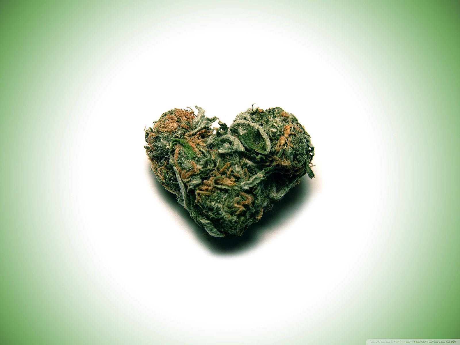 little green weed heart, cannabis bud, green leaves, HD Desktop Wallpaper
