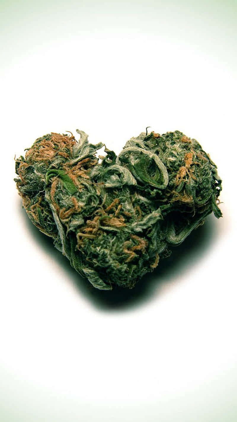 heart-shaped cannabis bud, green leaves, orange pistils, HD Phone Wallpaper