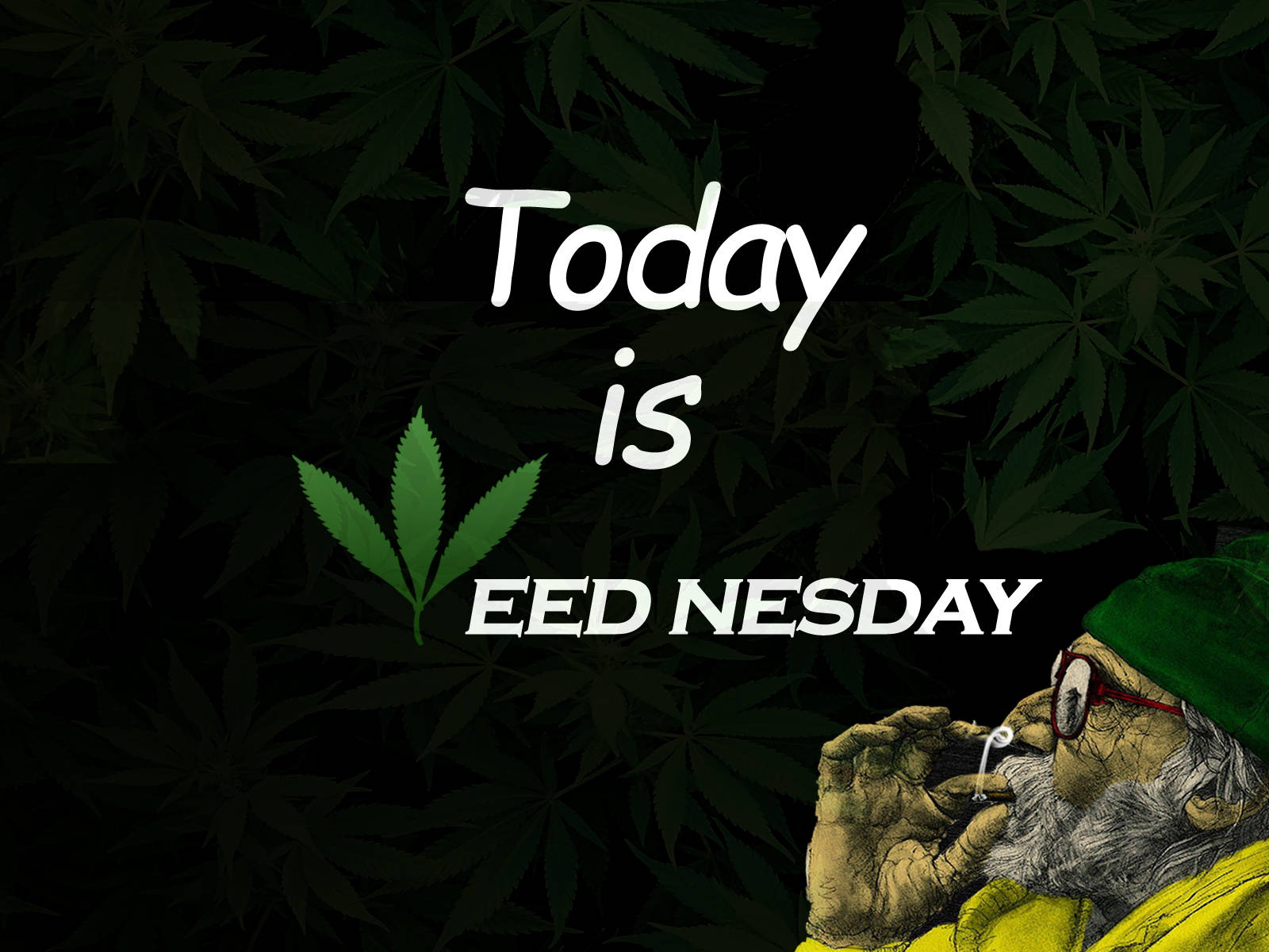 420 Weednesday, bearded man, green hat, HD Desktop Wallpaper