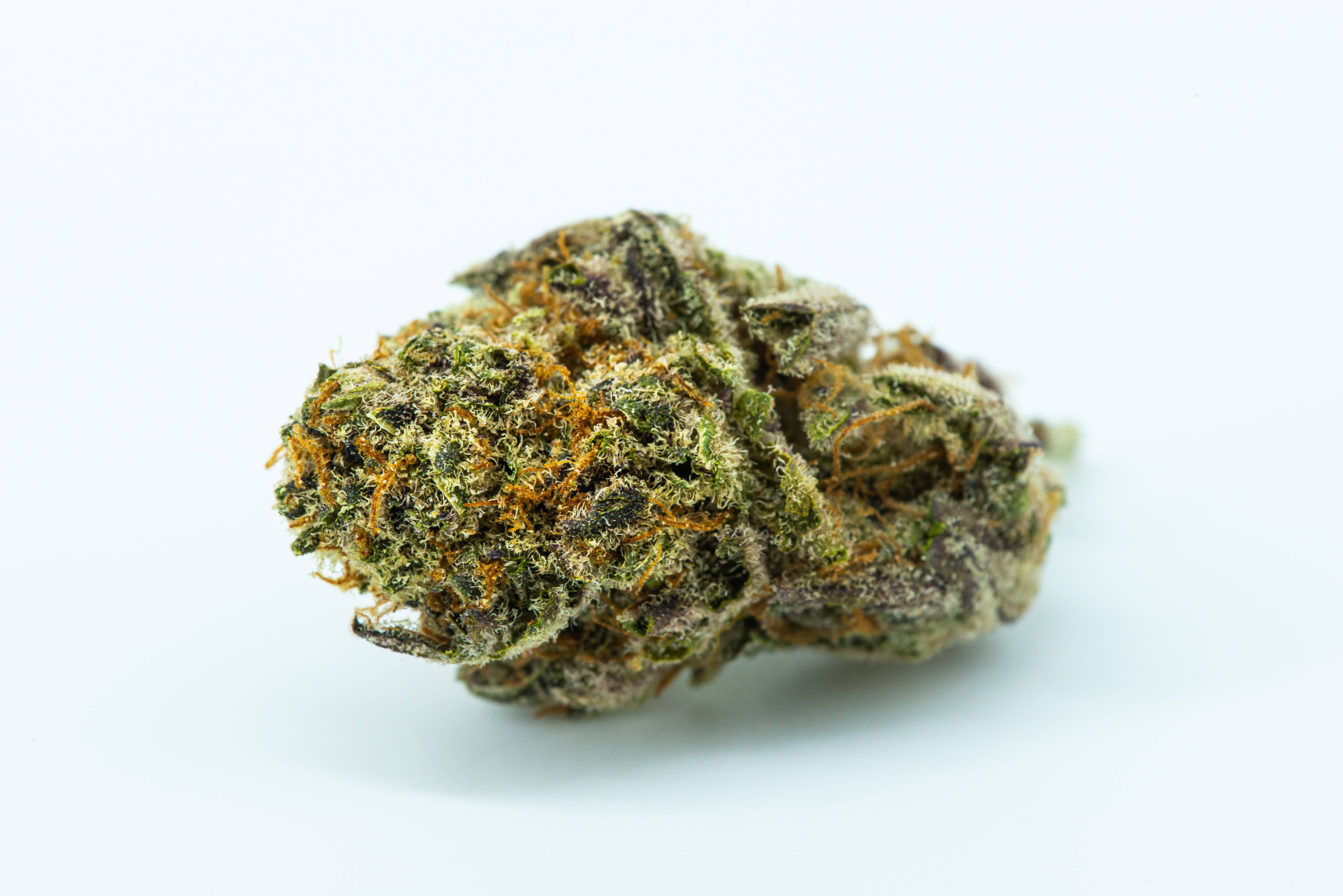 cannabis bud, green and orange pistils, stark white background, 5K Desktop Wallpaper