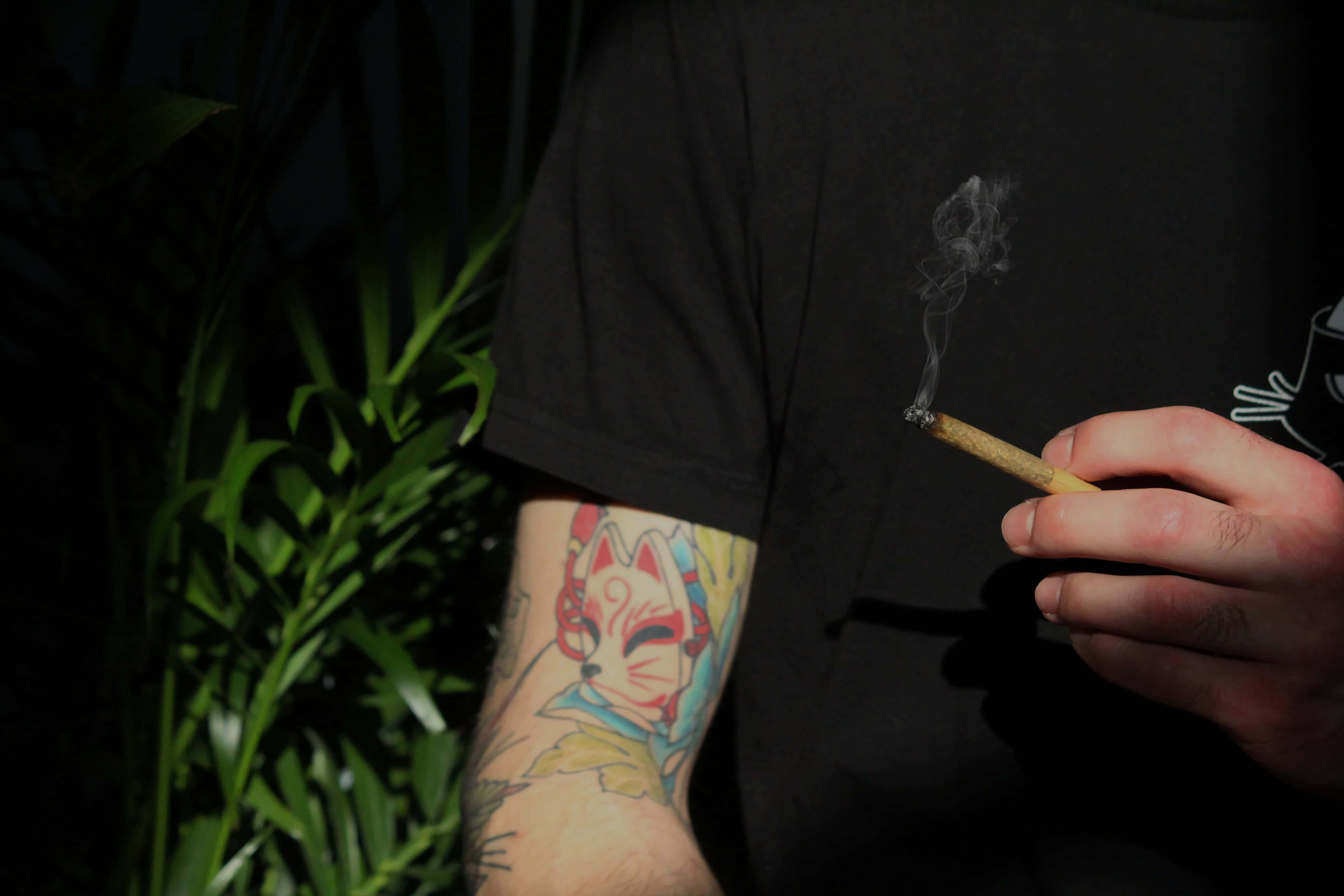 weed blunt, fox tattoo, lit cigar, 5K Desktop Wallpaper